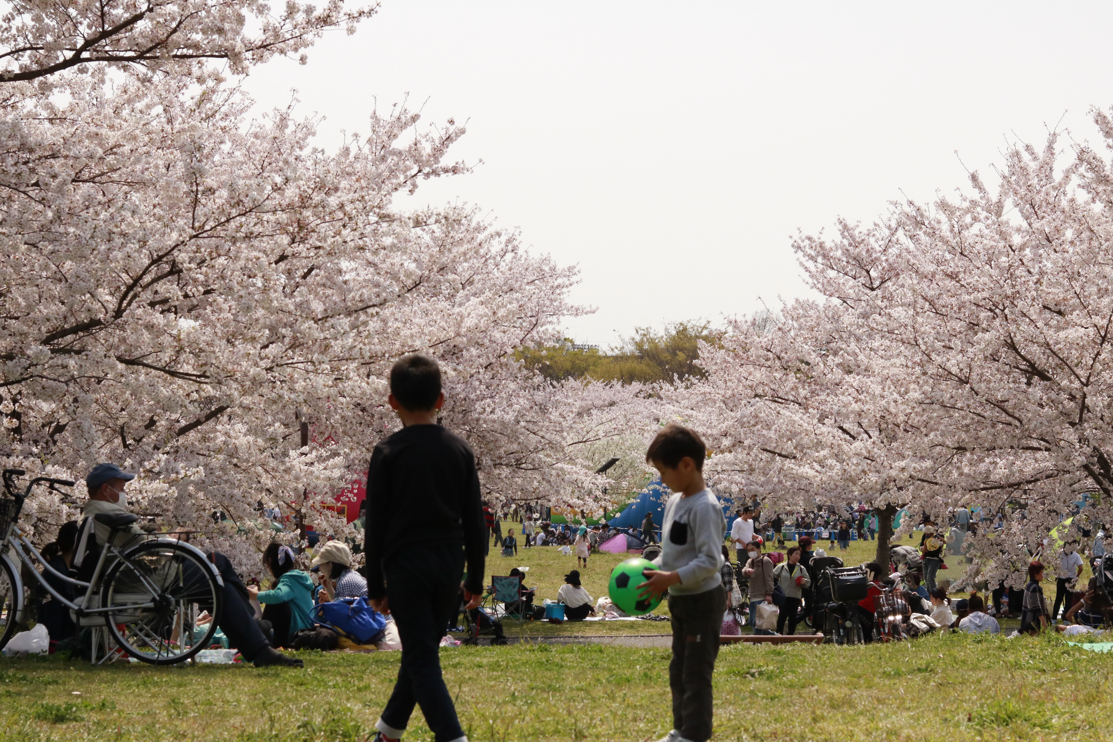 Park Kids