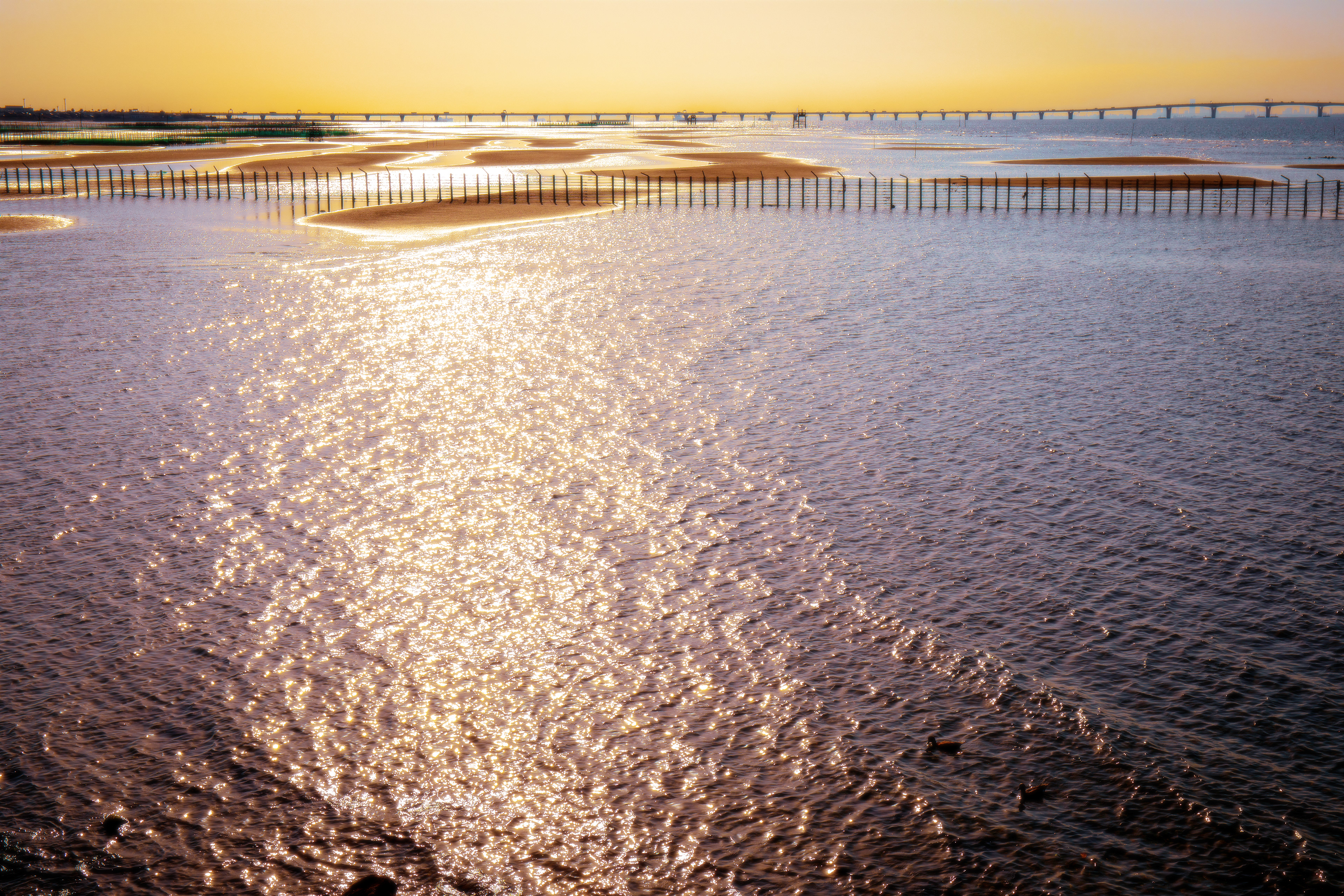 Chiba Prefecture