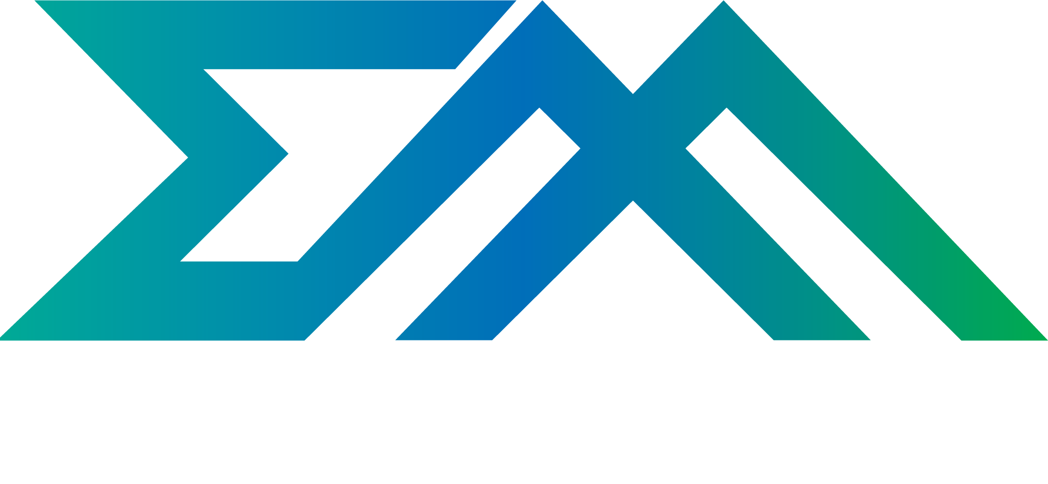 Evic Media