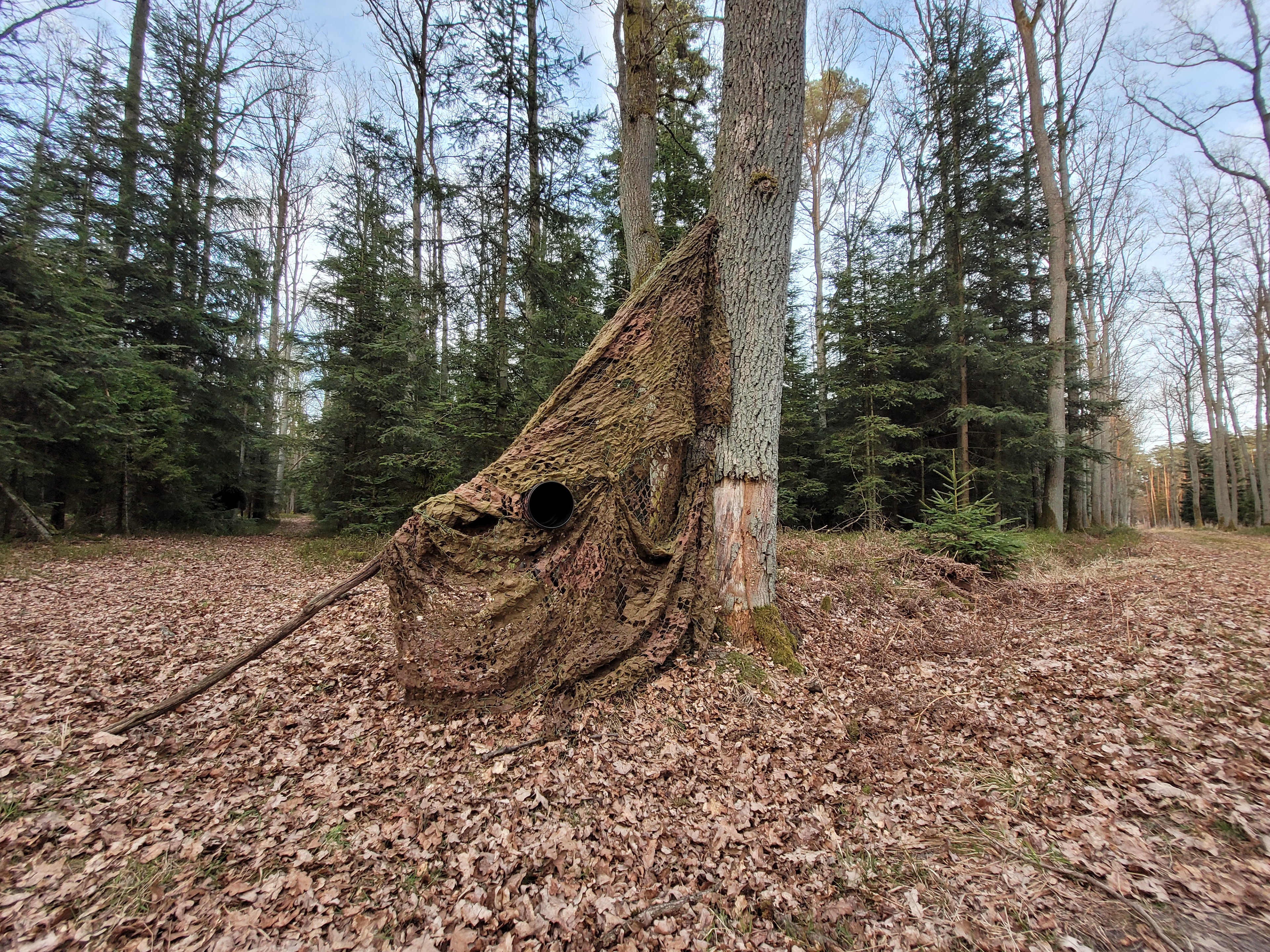 My hide near badger sett