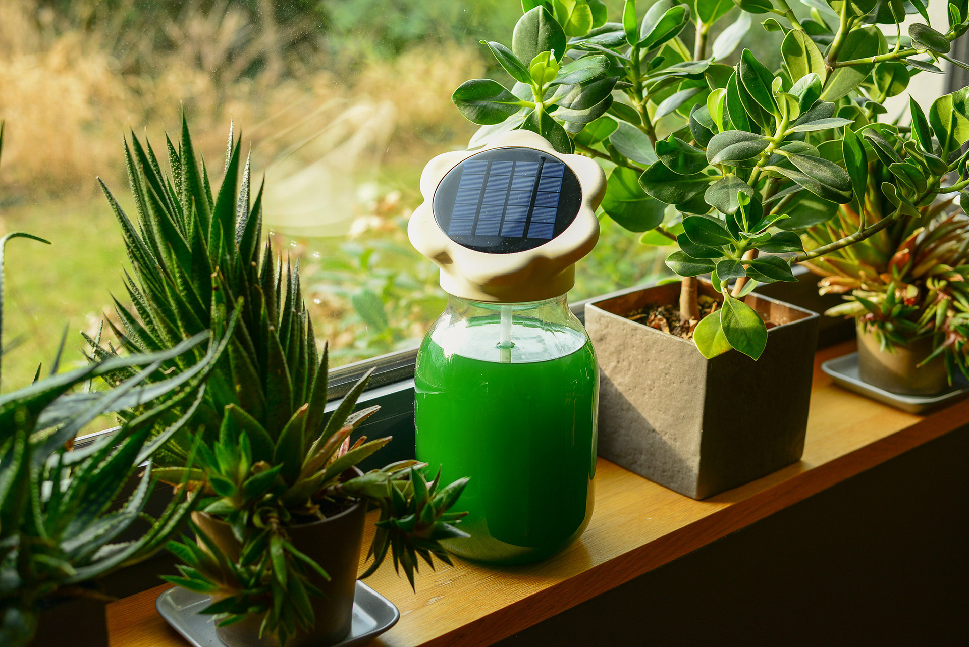 the flag product is an intuitive solar-powered aerator