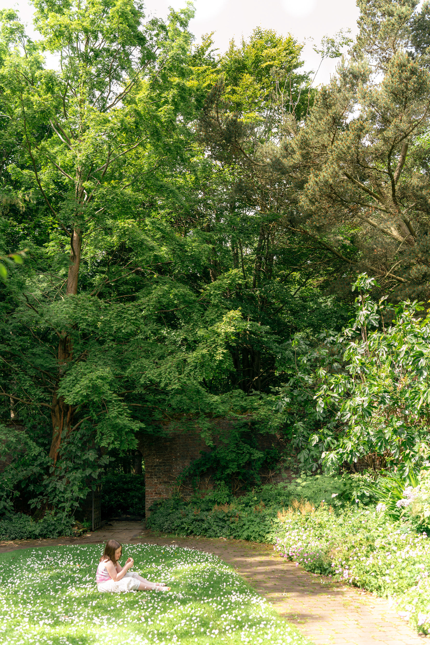 A little girl sits surrounded by daisies, under the trees, on a sunny day, at an Aberdeen family photo shoot.