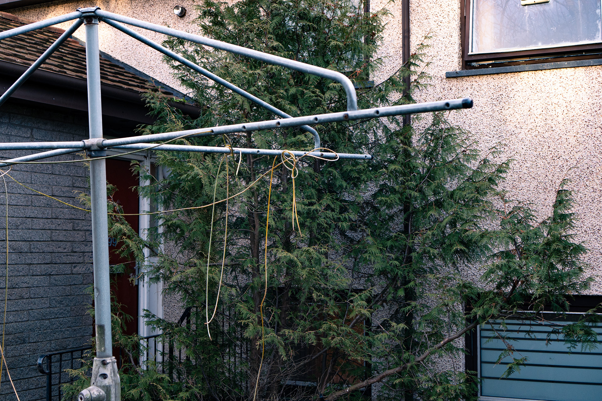 The yellow wires hang from a whirligig in front of an overgrown fir tree.