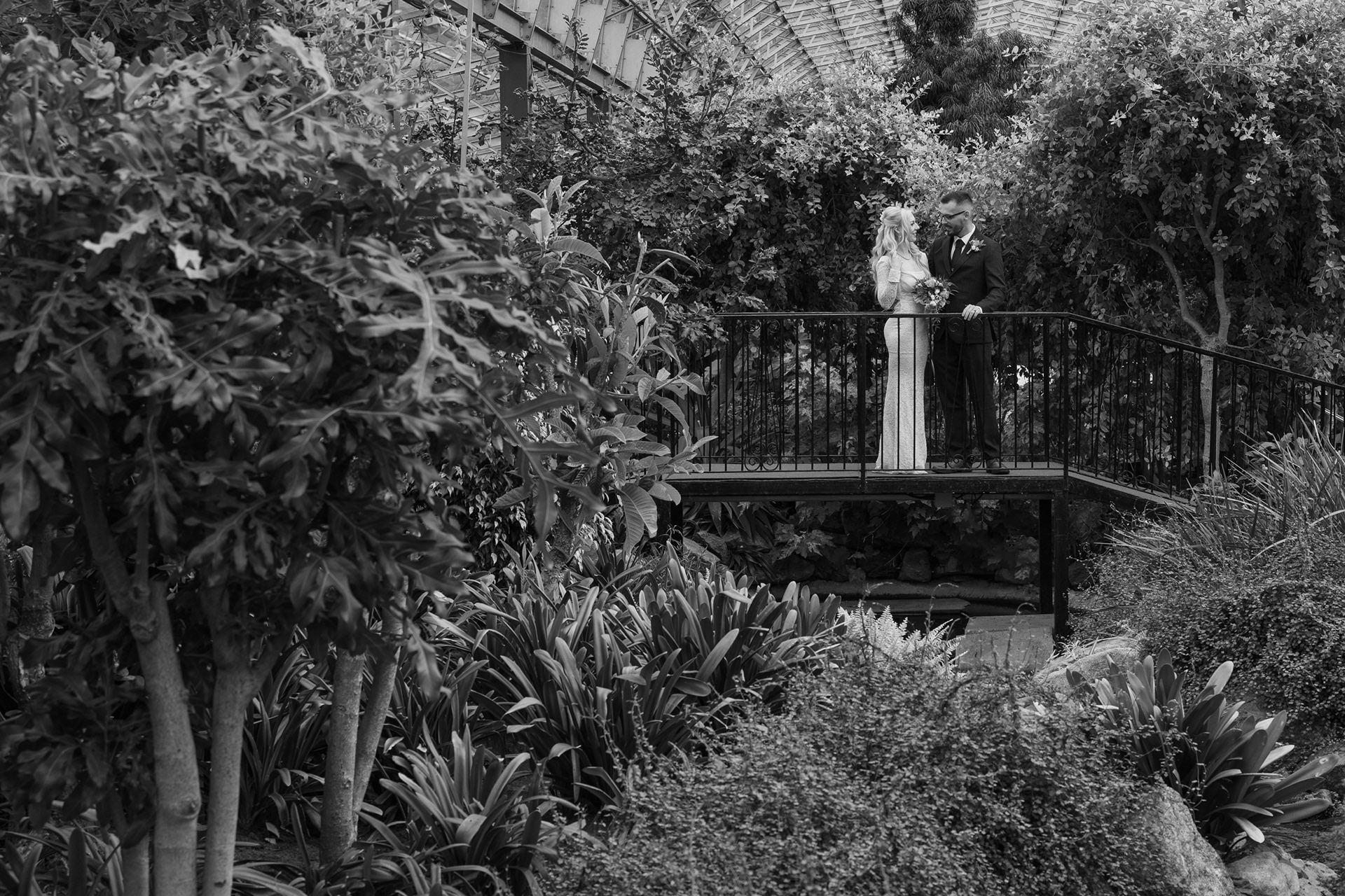 Duthie Park Winter Gardens wedding: Bride and groom chat on the terrapin bridge.
