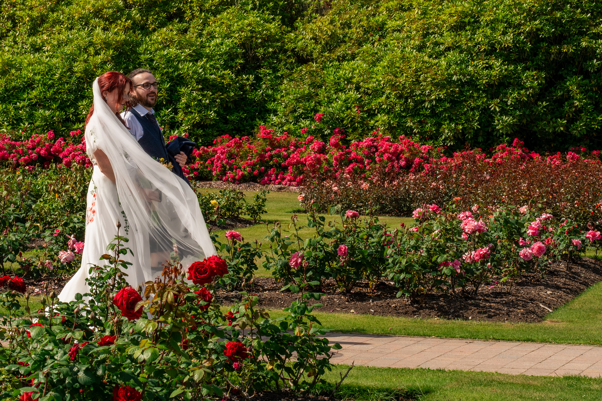 A bride and groom walk together through the ornamental rose gardens in Aberdeen's Hazlehead Park. Her veil is caught by the wind and blows ahead of them.