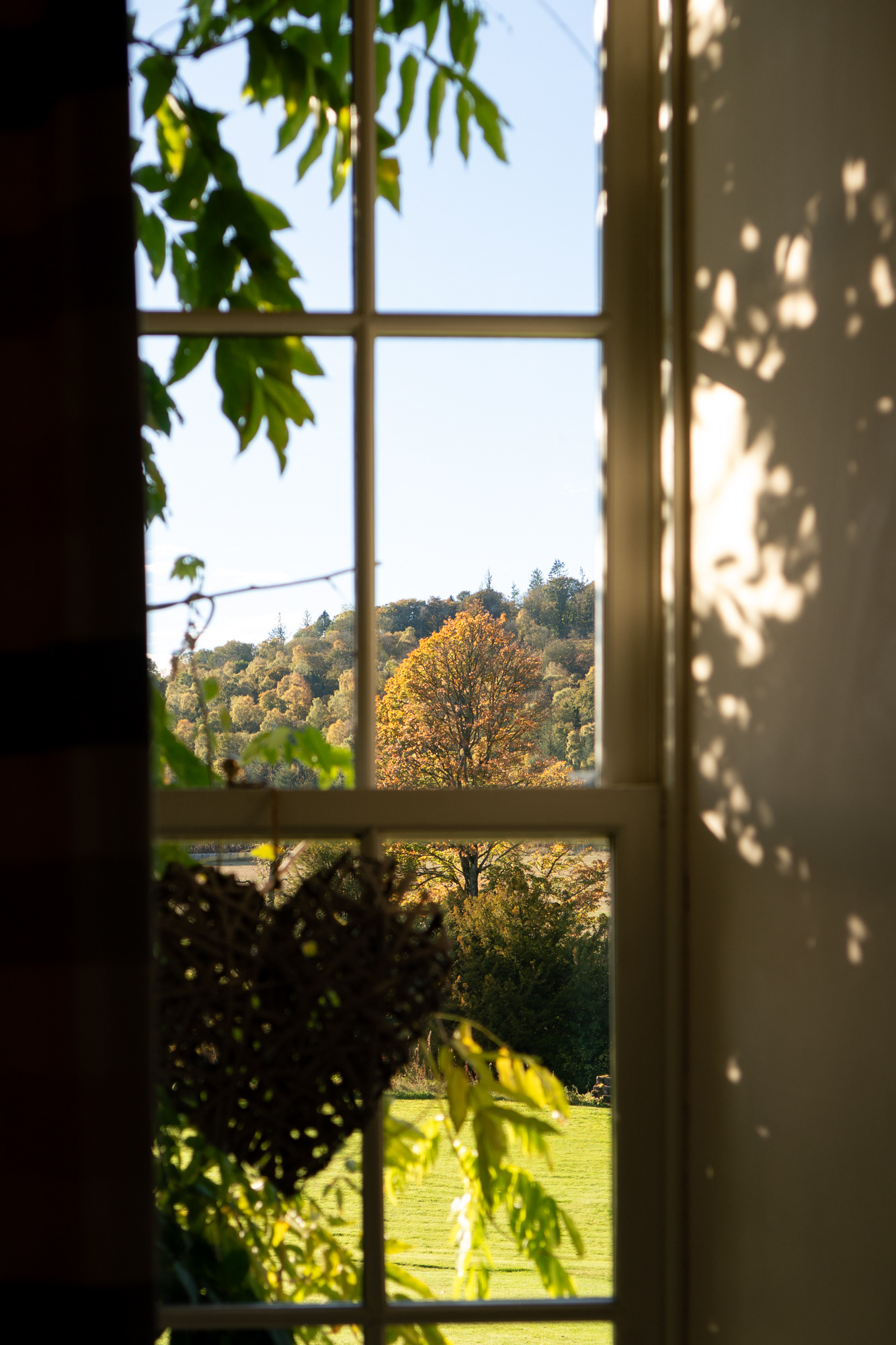 Logie Country House: autumnal trees seen through a sash and case window