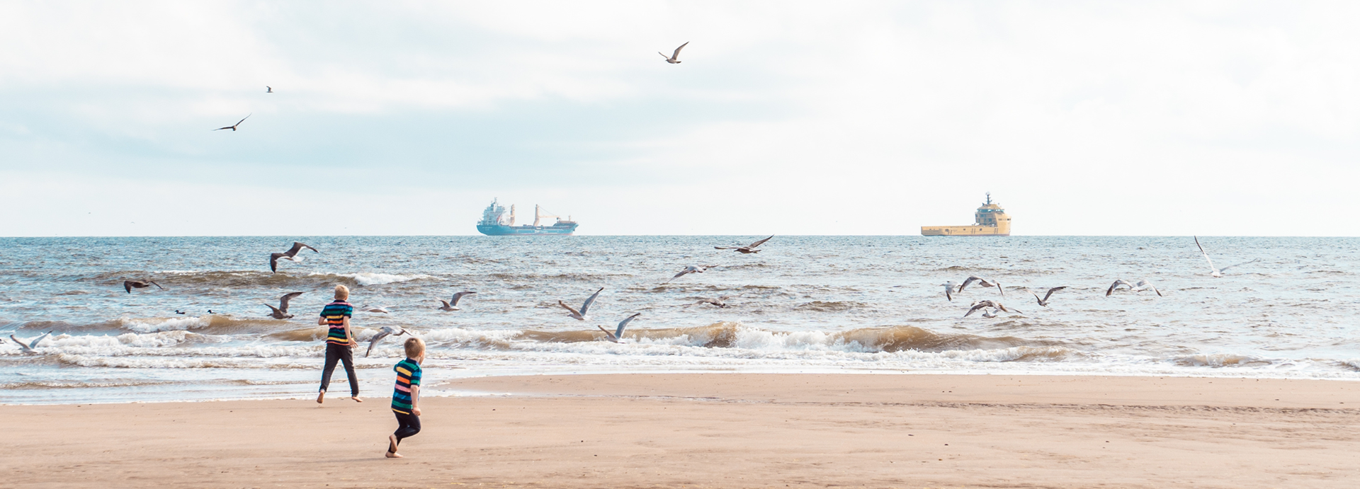 During an Aberdeen family photo shoot, two small blond boys in stripy T-shirts run towards the water on Aberdeen beach, as a flock of seagulls takes to the skies in front of them. There are two ships in the background.