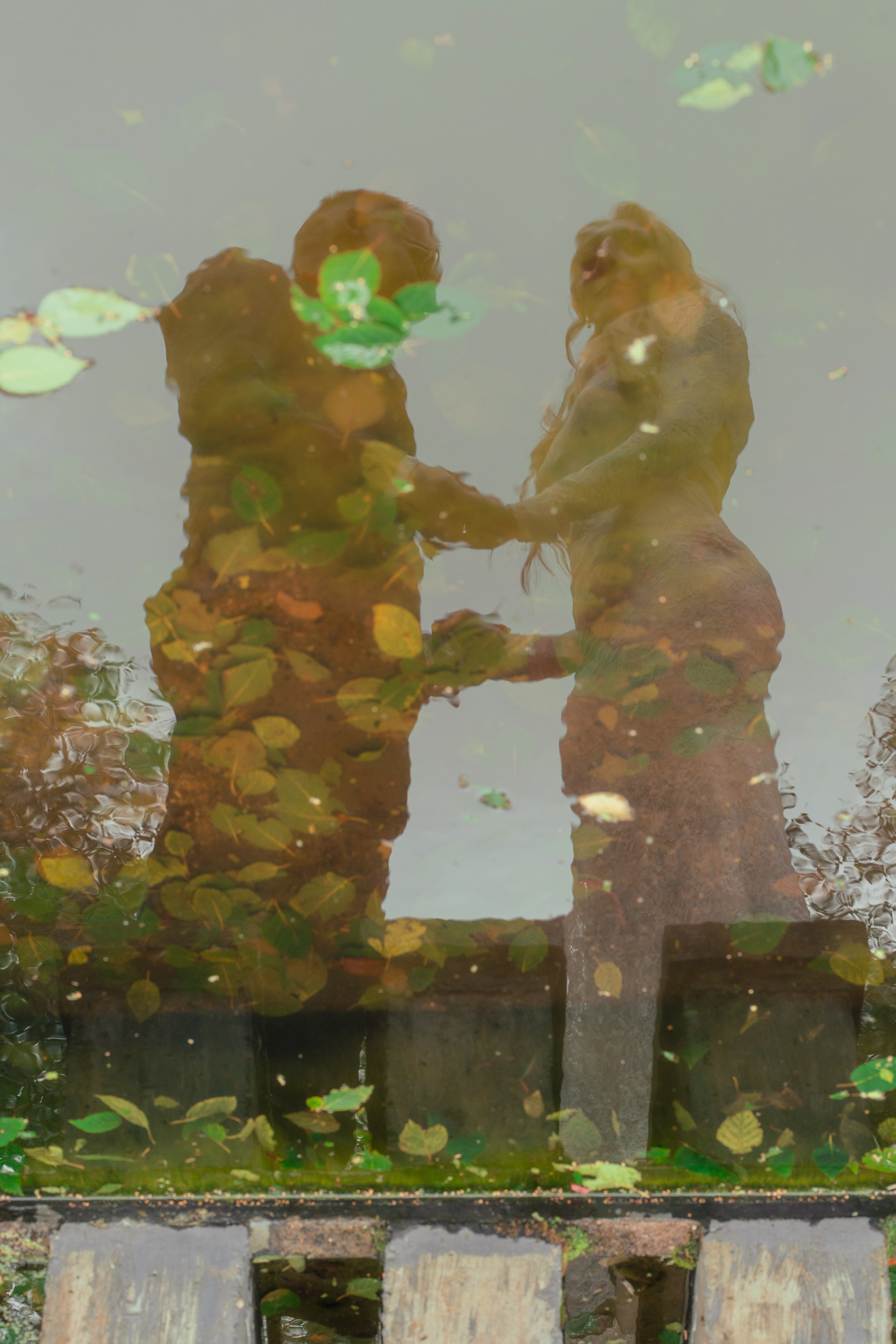 Alternative Aberdeen wedding photography: Bride and groom are reflected in water at Duthie Park Winter Gardens.