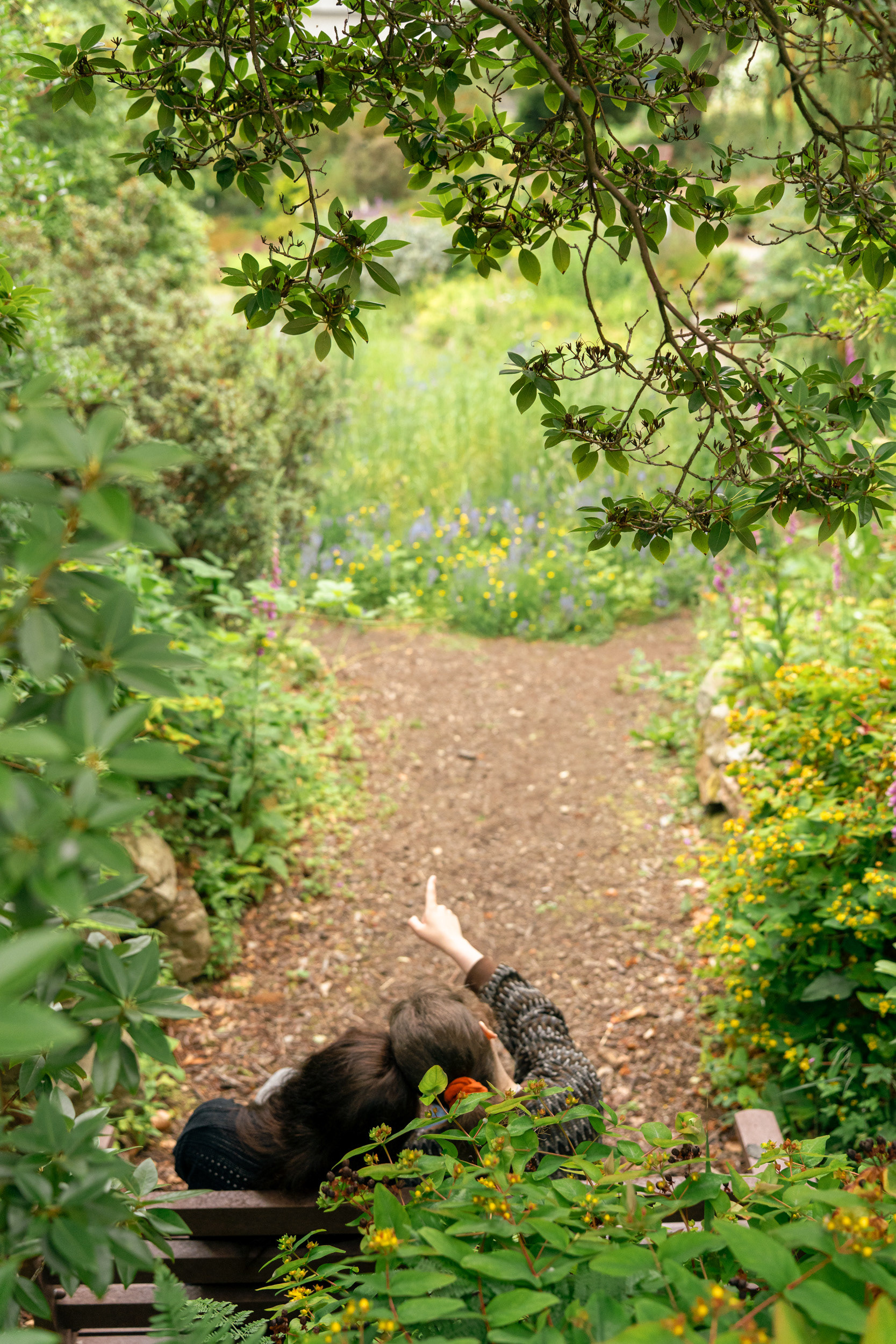 Taken by LGBTQ+ Aberdeen wedding photographer, Sarah, we see a couple's dark haired heads leaning on each other, photographed from behind, at the bottom of the image. One wife is raising her hand to point something out in the garden of blue and yellow flowers in front of them. They are framed by hypericum leaves and tree branches.
