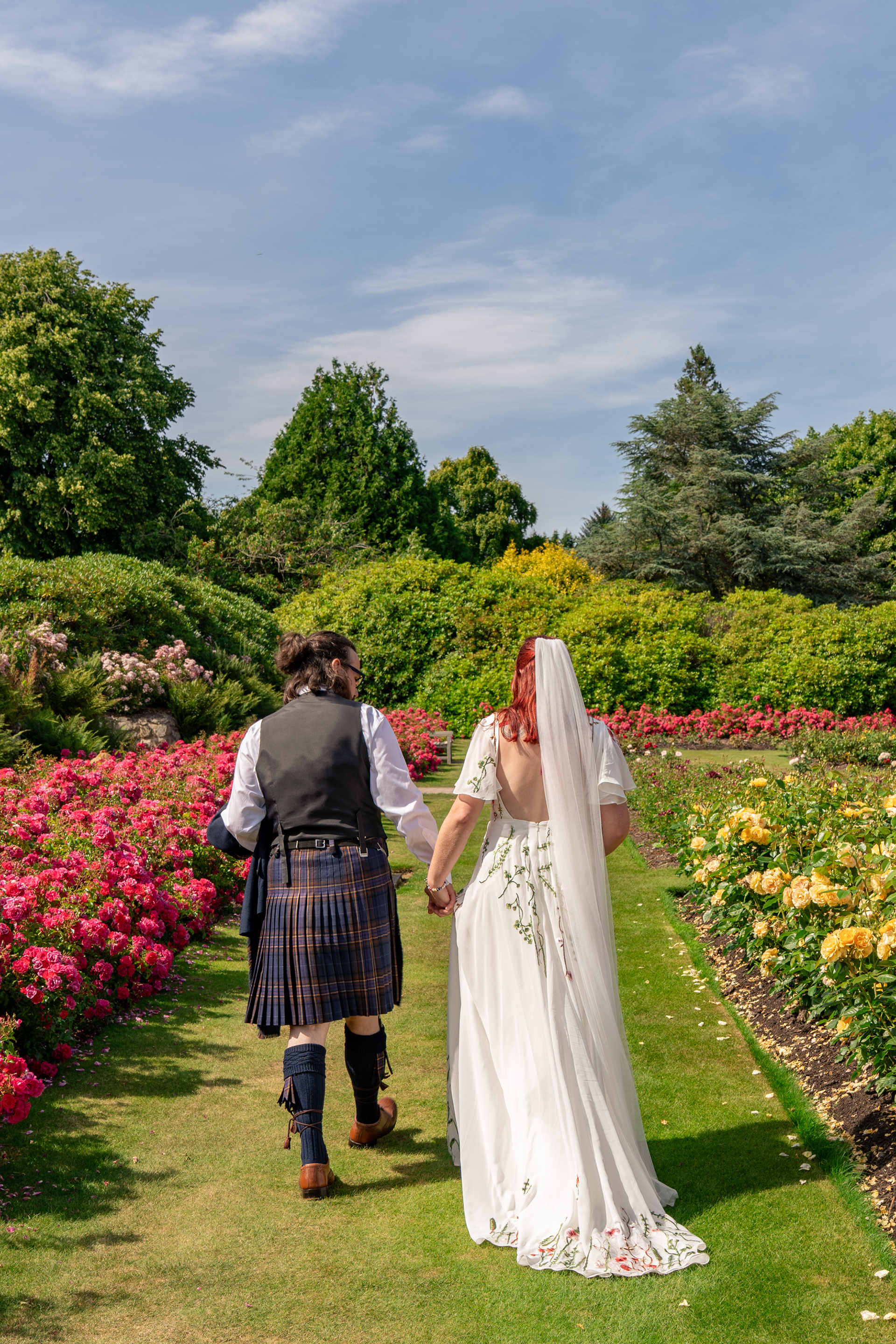 A bride and groom hold hands and walk away from the camera, through an ornamental rose garden in Aberdeen.