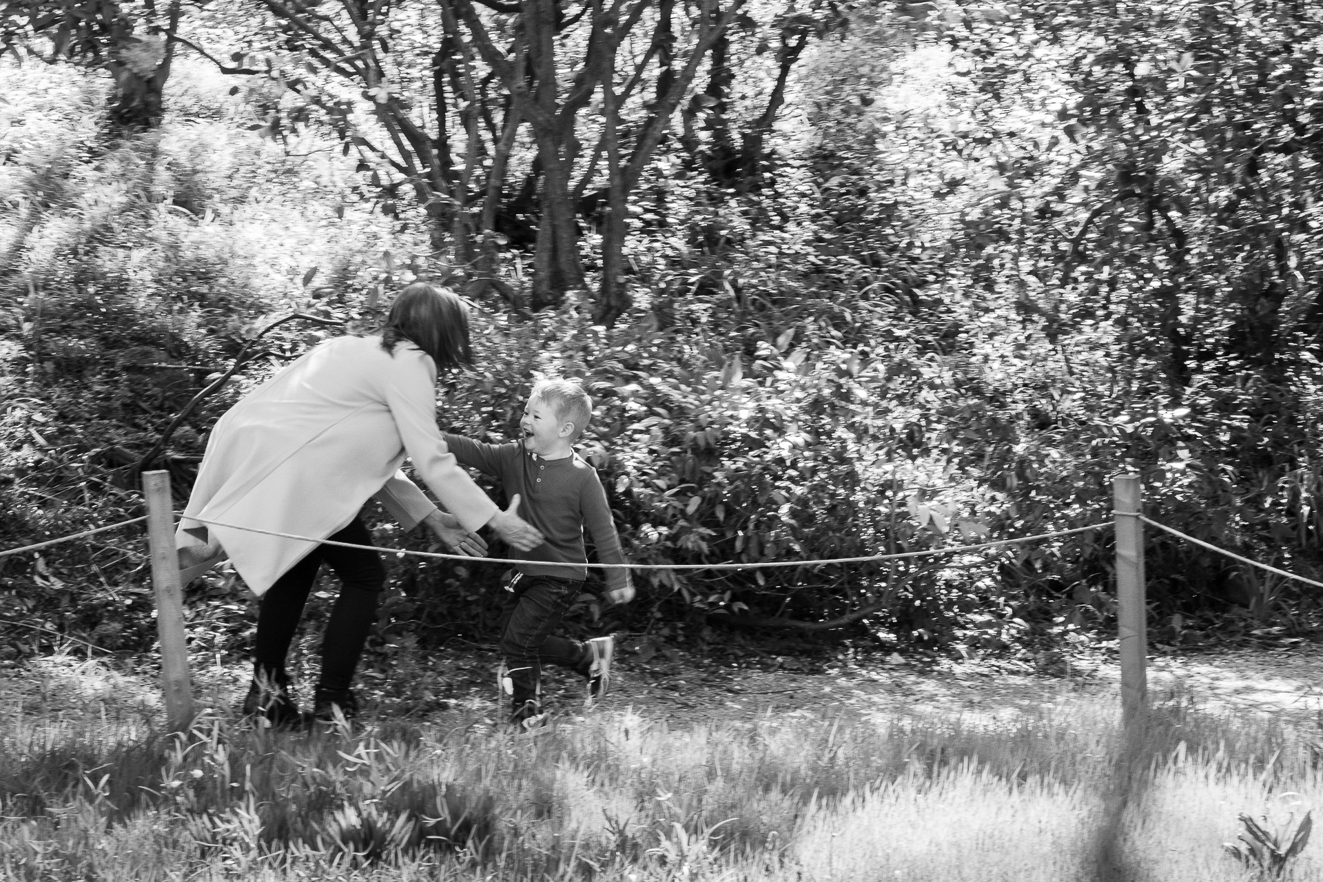 Black and white photo of a preschool boy running into his mother's arms amongst flowering bushes. The background is blurred from movement but the little boy is in sharp focus.