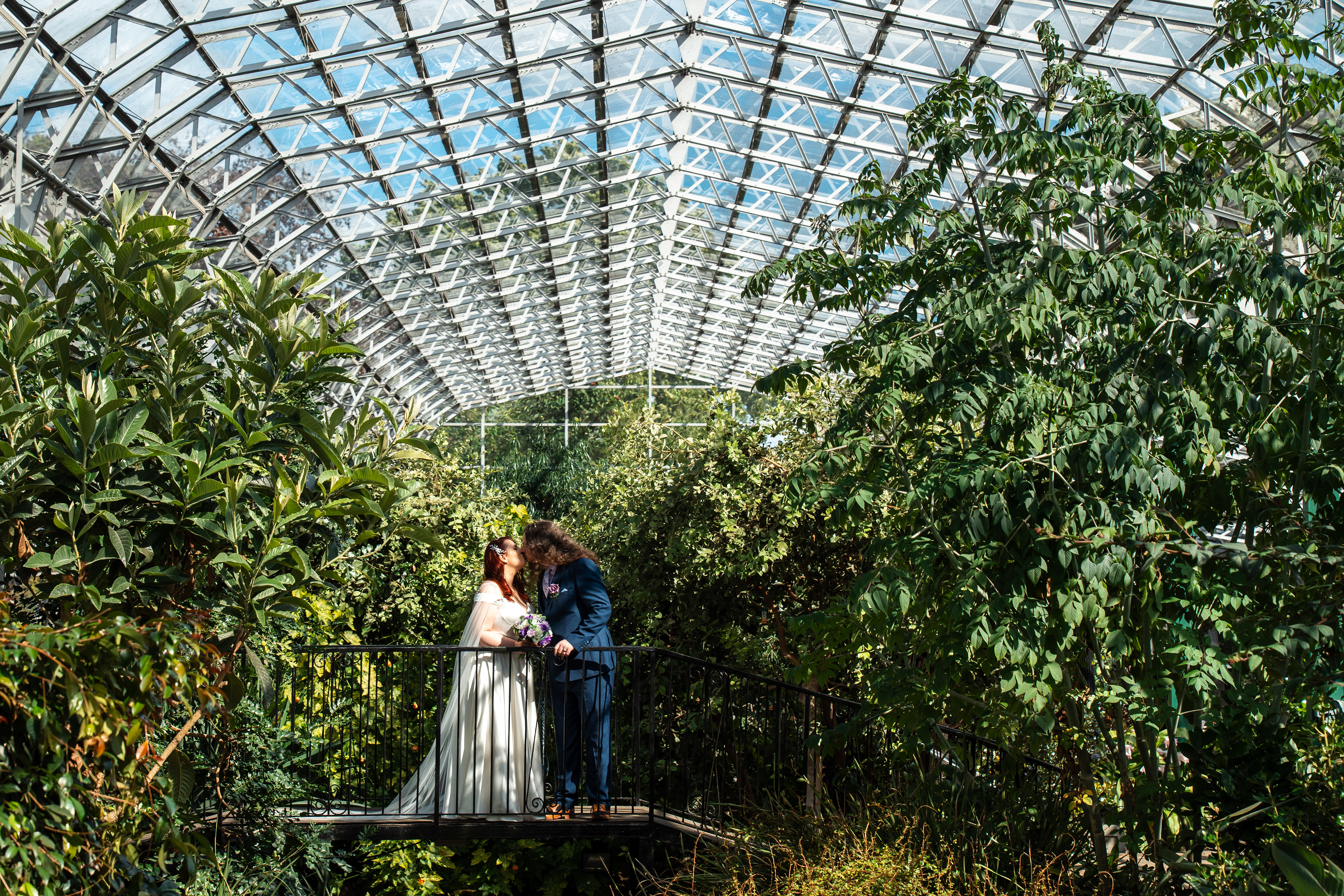 Bride in white and groom in blue kiss on the terrapin bridge in Aberdeen's Winter Gardens, surrounded by lush greenery and the sweeping glasshouse roof.