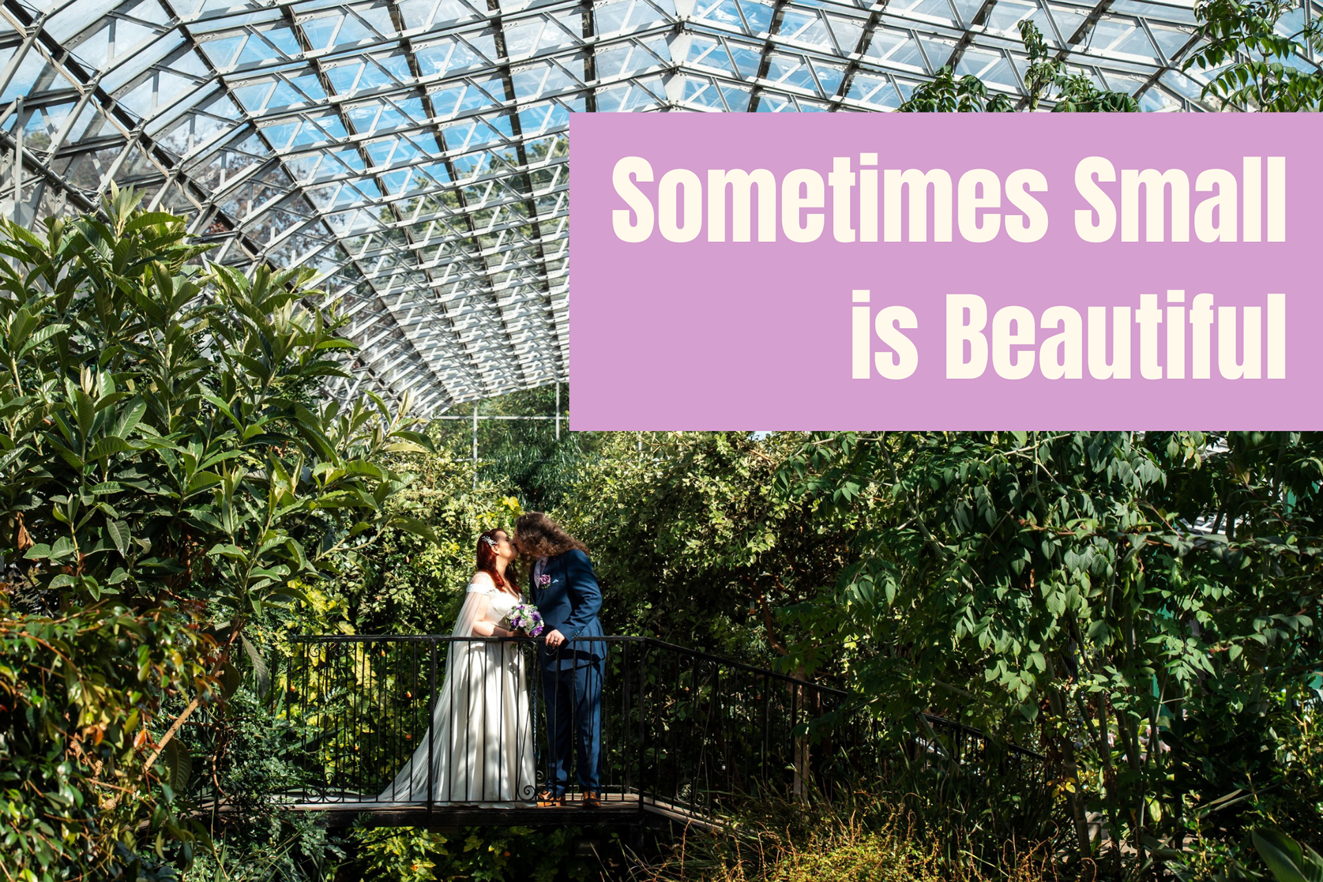 Aberdeen Wedding Photography for Small Midweek Ceremonies: A newlywed couple kiss on the terrapin bridge in Duthie Park Winter Gardens following their wedding ceremony. The backdrop is greenery. The overlaid text reads: "Sometimes Small Is Beautiful".