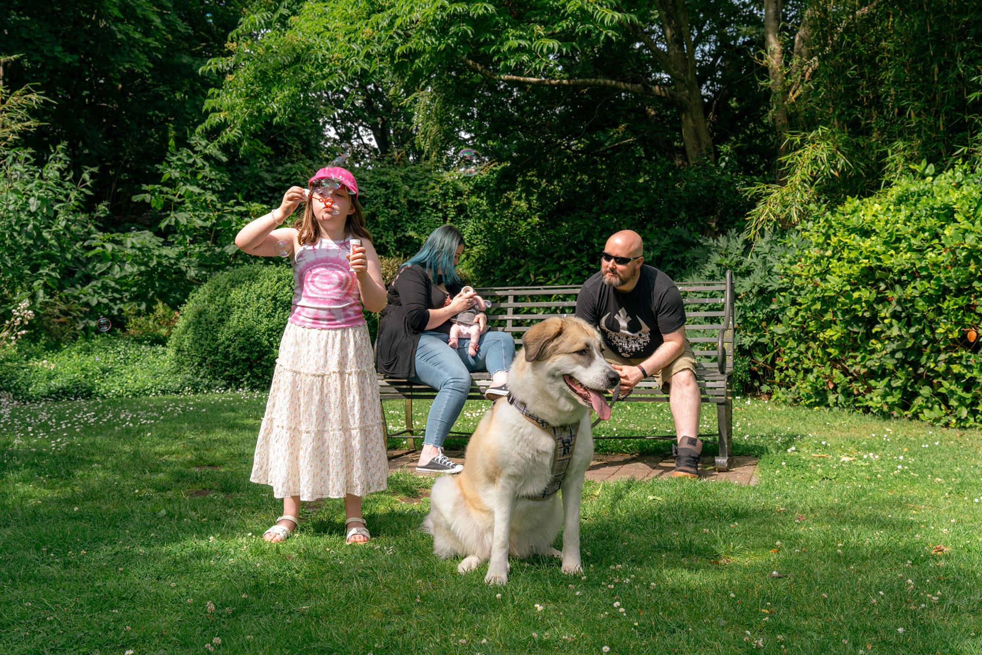 An outdoor family photo shoot with newborn baby in Aberdeen. Parents are shown sitting on a bench in the sun, mum feeding baby, while their dog sits in front of them and 7 year old daughter stands, blowing bubbles towards the camera.
