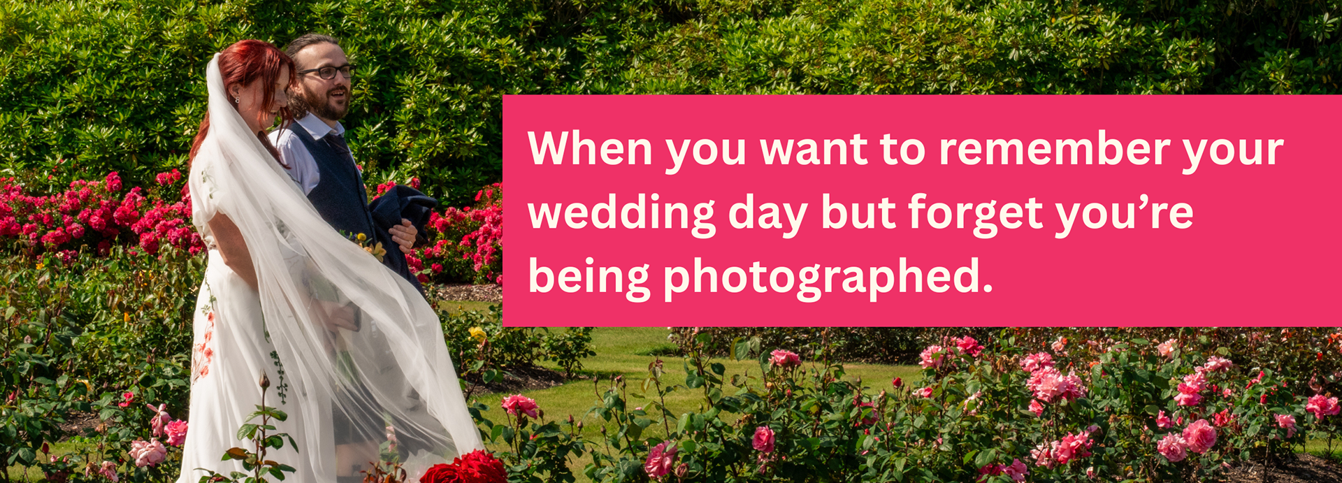 Wedding Photography Aberdeen: A pink stripe with text reading "When you want to remember your wedding day but forget you're being photographed" over the top of a photo of a newlywed couple, she in white dress and he in kilt, strolling through the rose gardens at Hazlehead Park