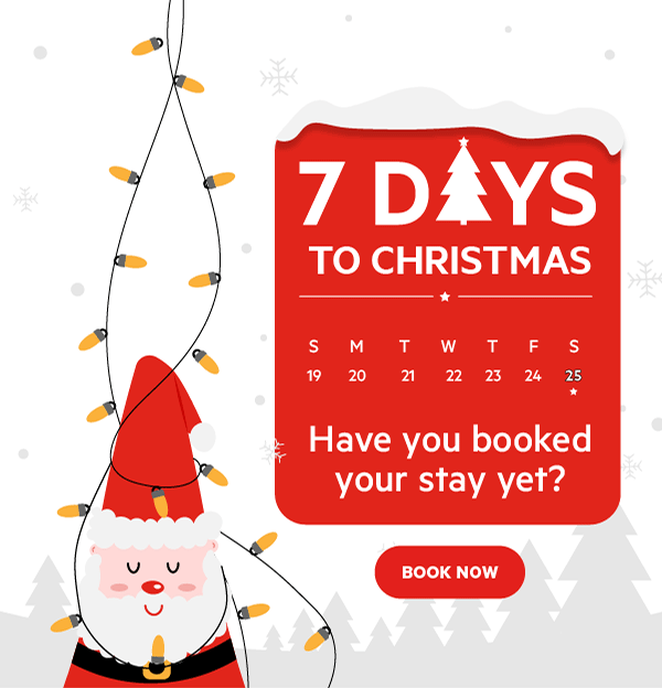 Christmas Offer