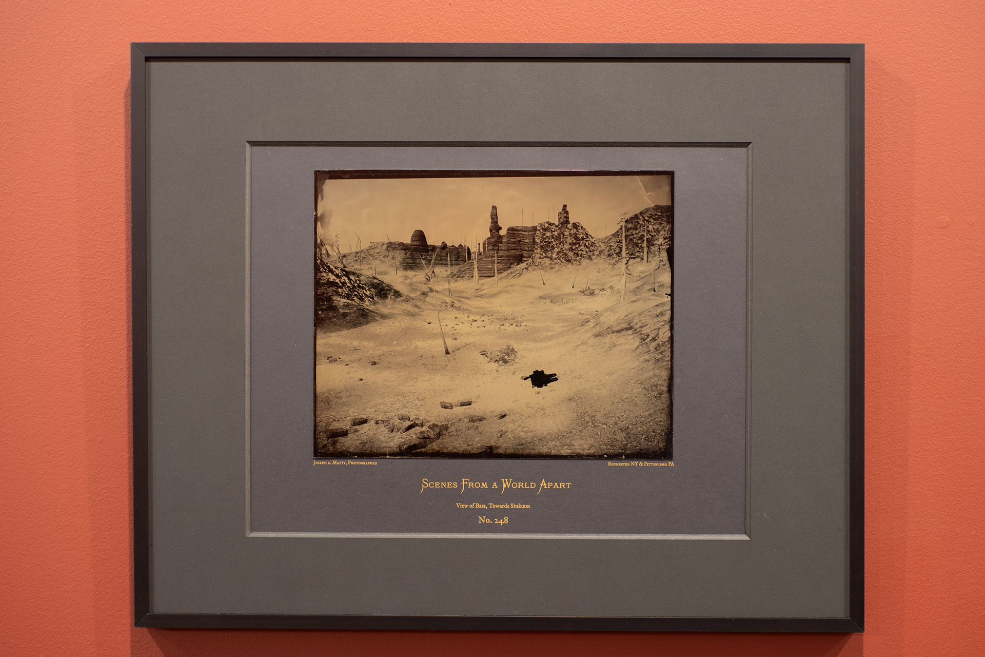 8" x 10" Wet Collodion Tintype on Risograph Mat