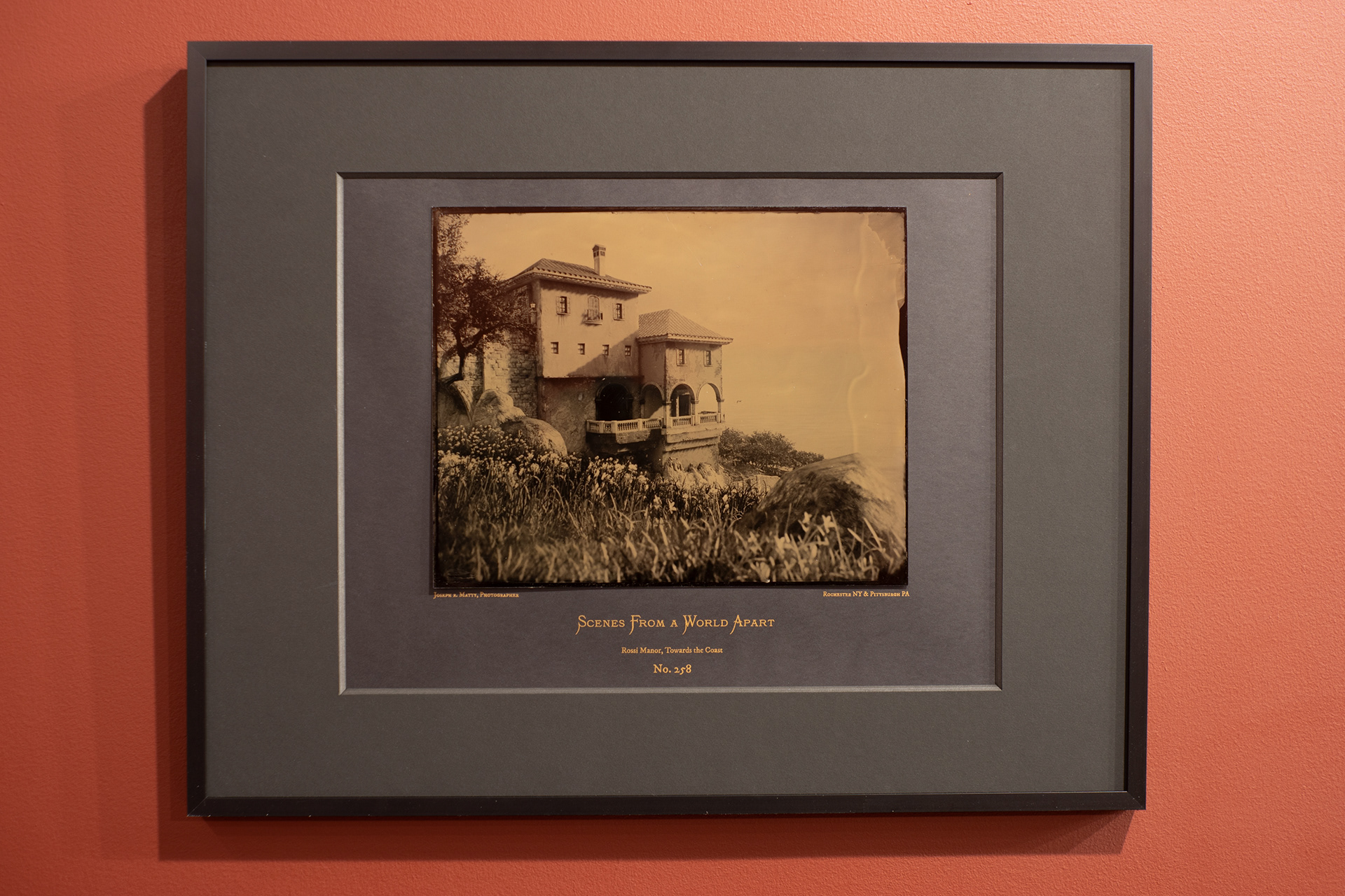 8" x 10" Wet Collodion Tintype on Risograph Mat