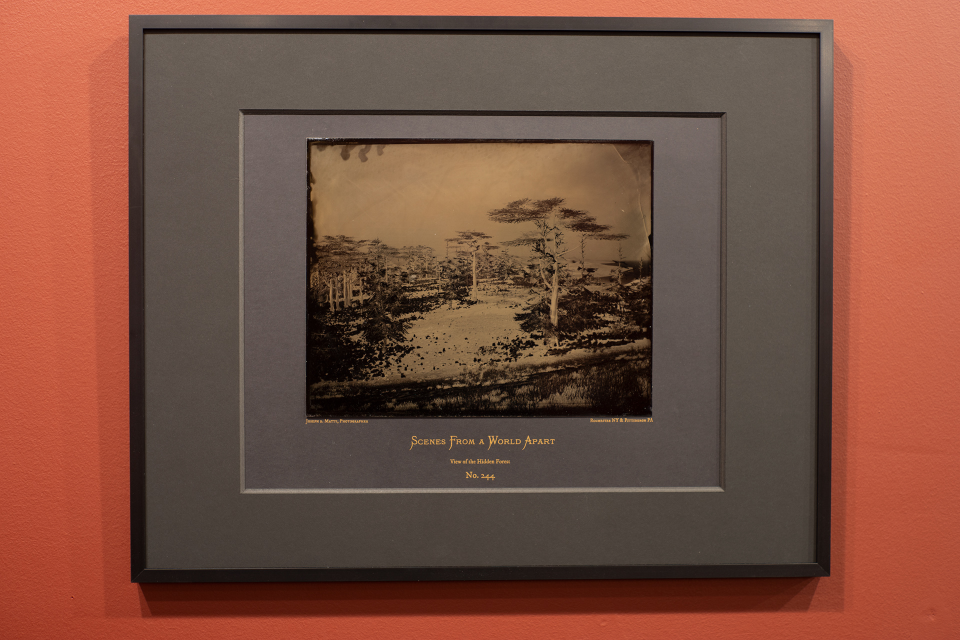 8" x 10" Wet Collodion Tintype on Risograph Mat