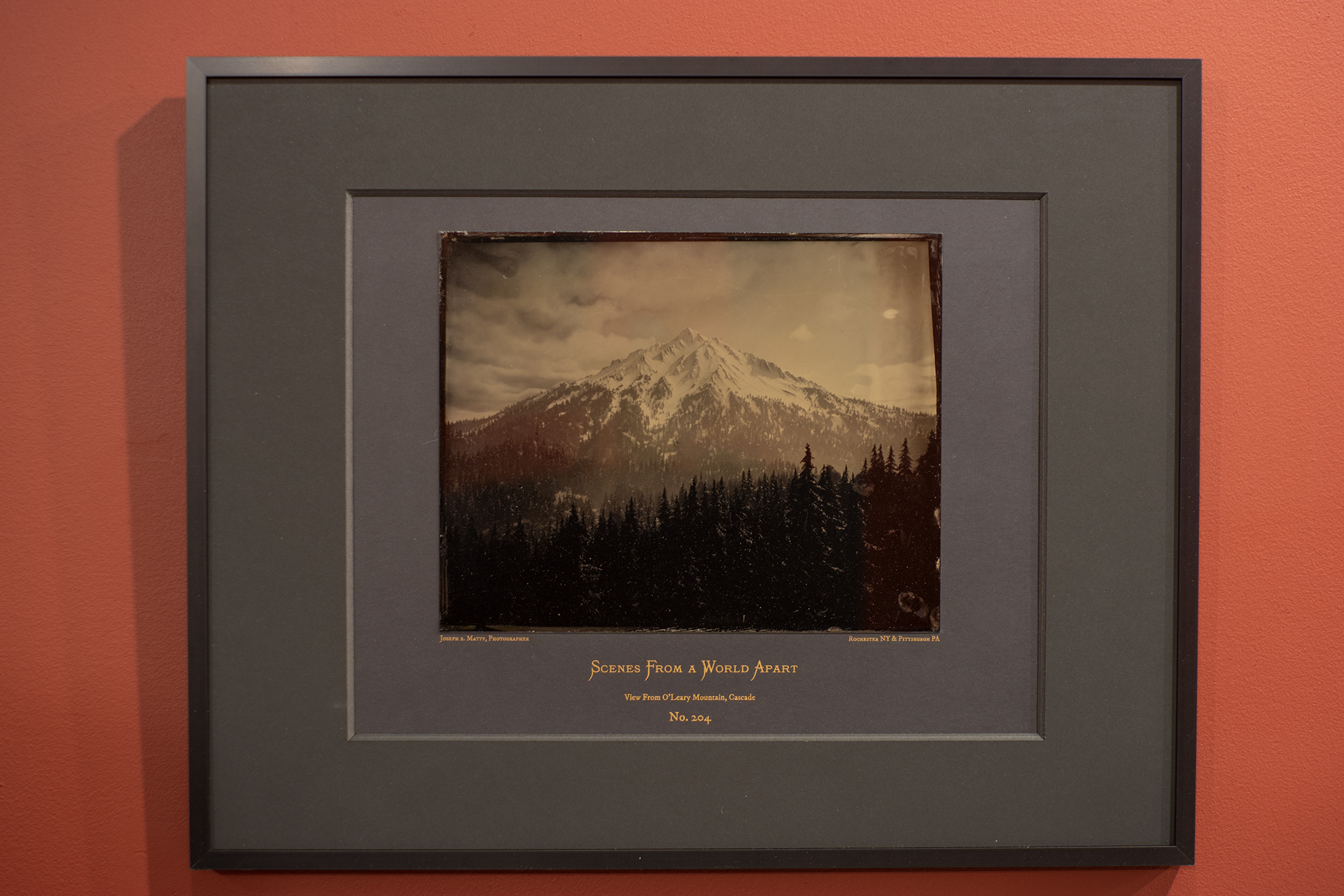 8" x 10" Wet Collodion Tintype on Risograph Mat