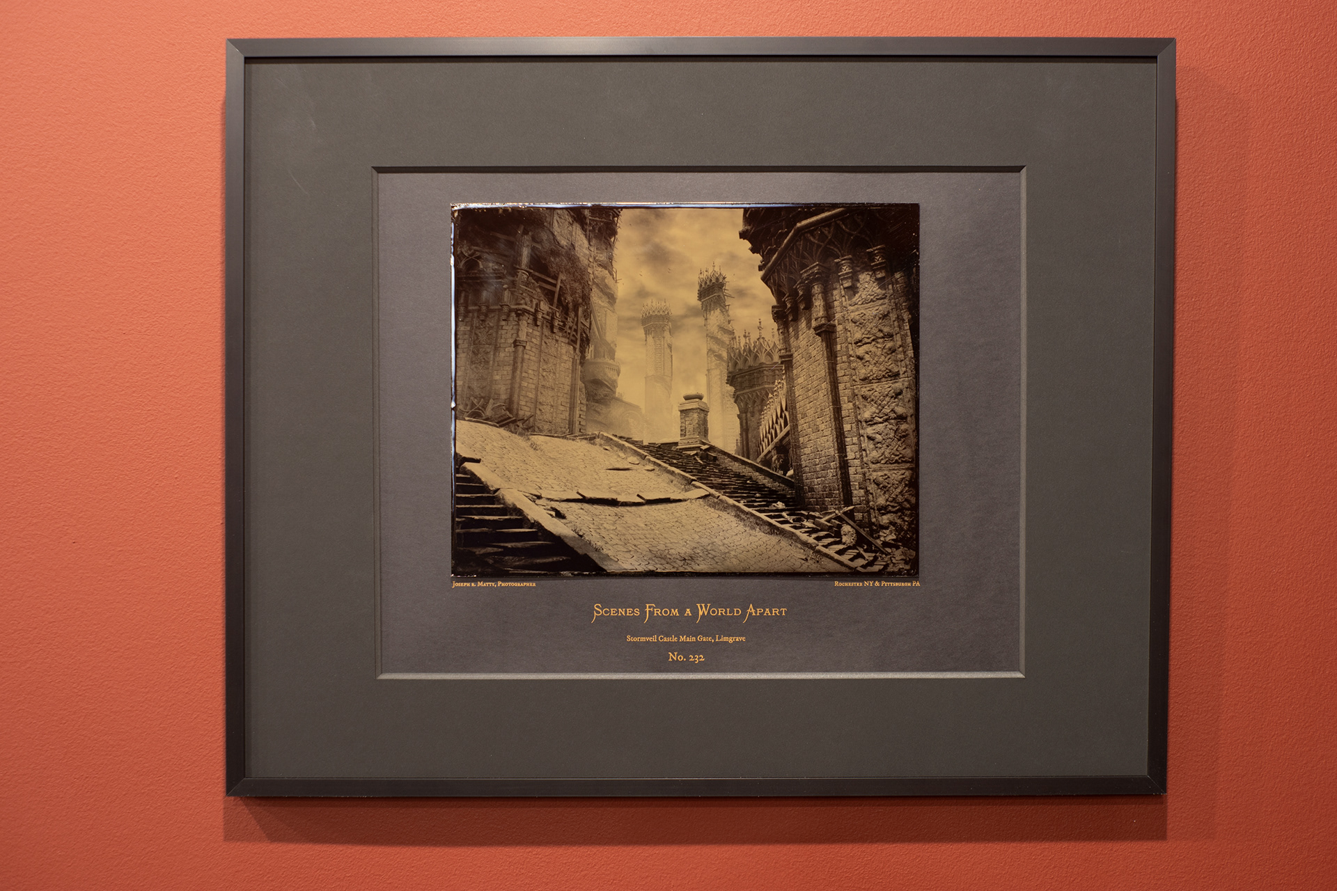 8" x 10" Wet Collodion Tintype on Risograph Mat