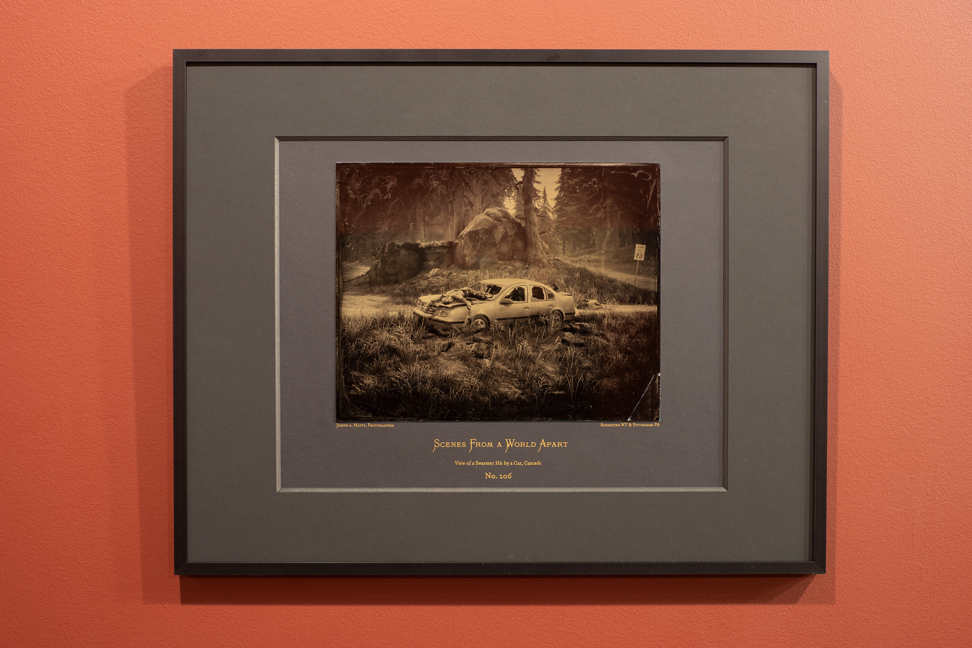 8" x 10" Wet Collodion Tintype on Risograph Mat