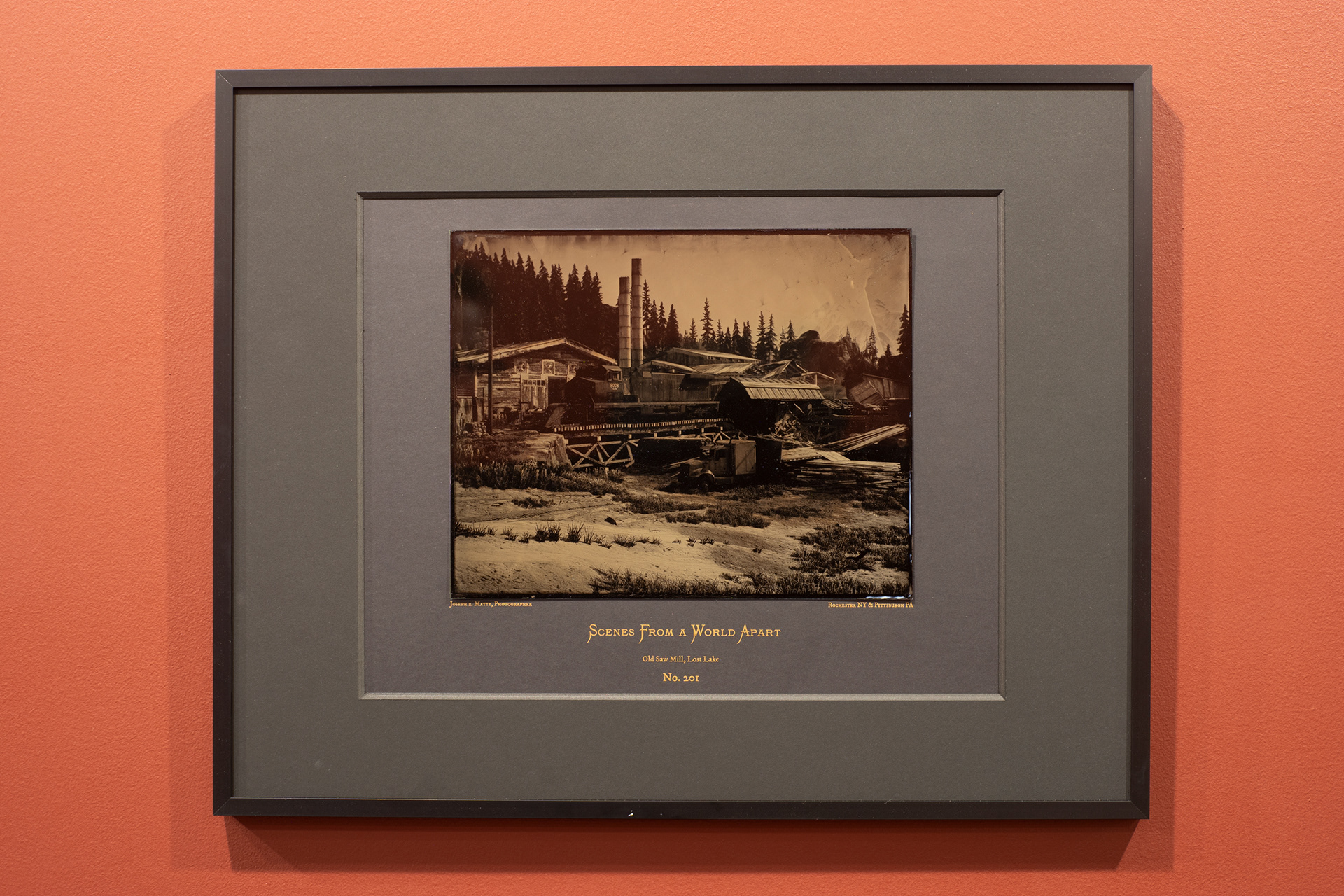 8" x 10" Wet Collodion Tintype on Risograph Mat