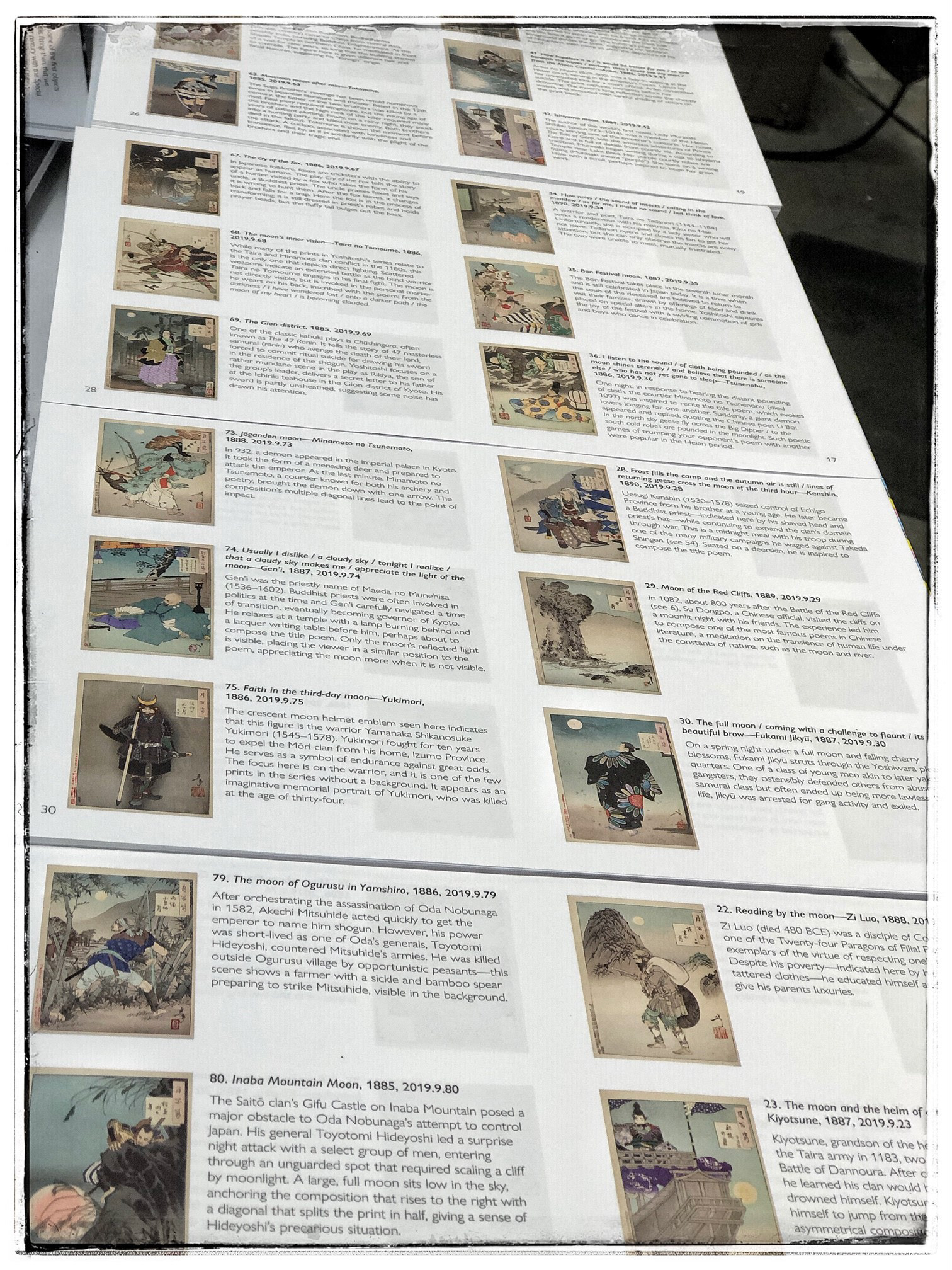 Detail of Special Exhibition Catalogue. Photo courtesy of Judd Plattenburg.
