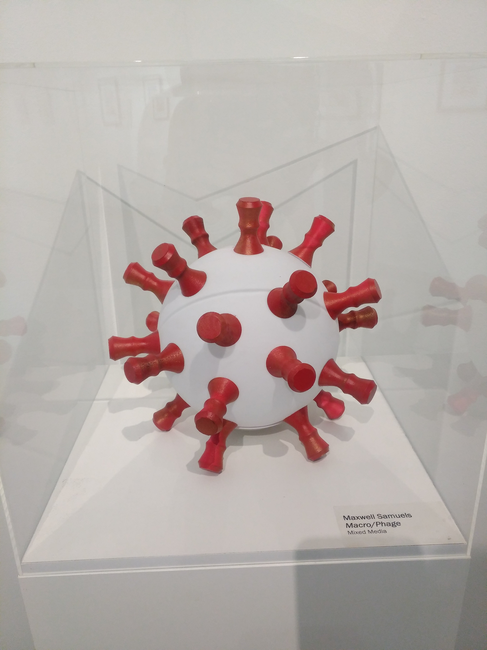 This project got into the CCM Curated Art Show