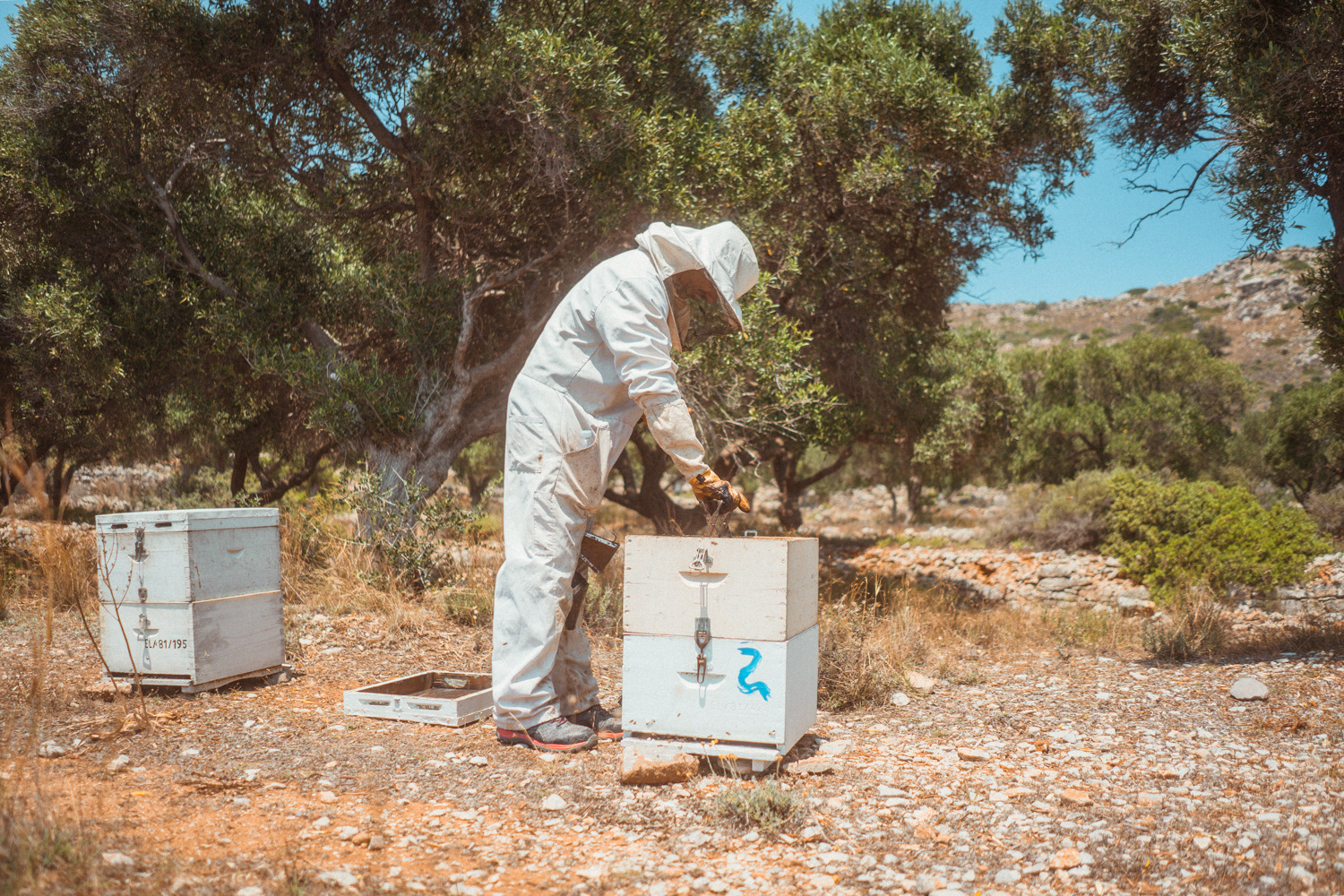 Beekeeper working outdoors in nature on the island of Rhodes