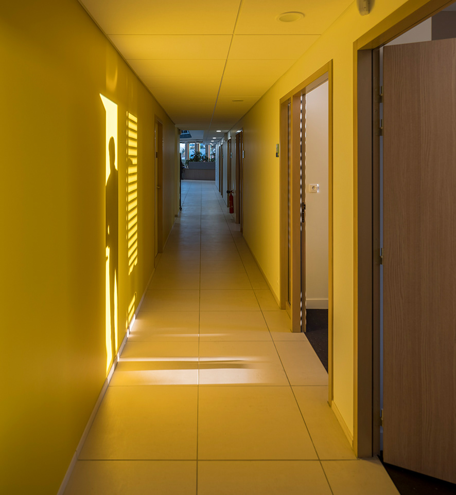 @Jean-François Mollière