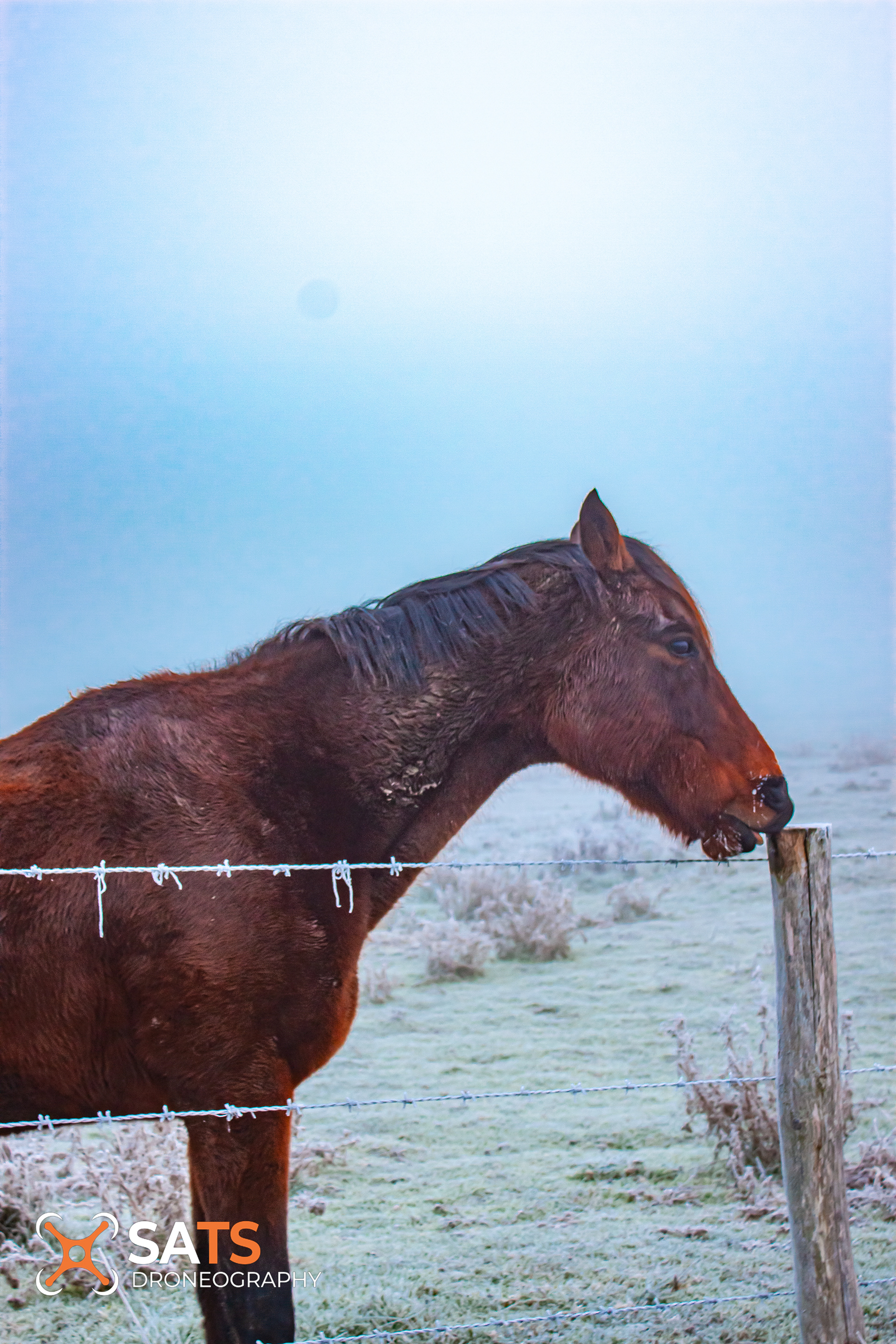 Winter 9