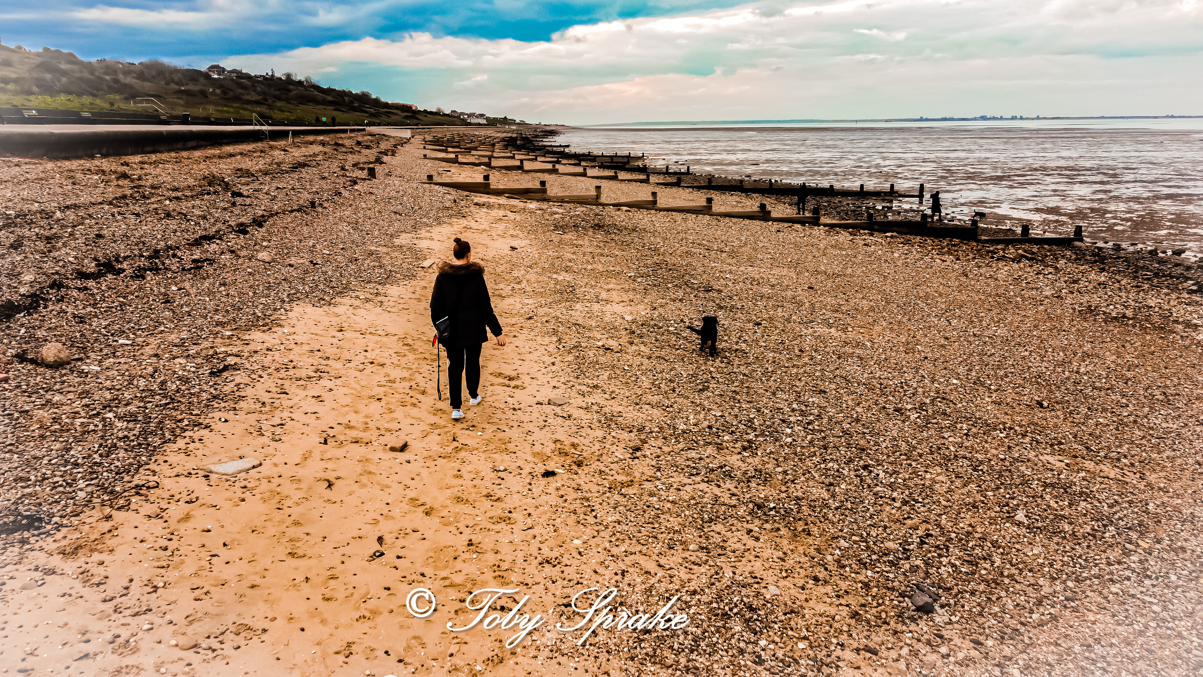 BEACH - 110
