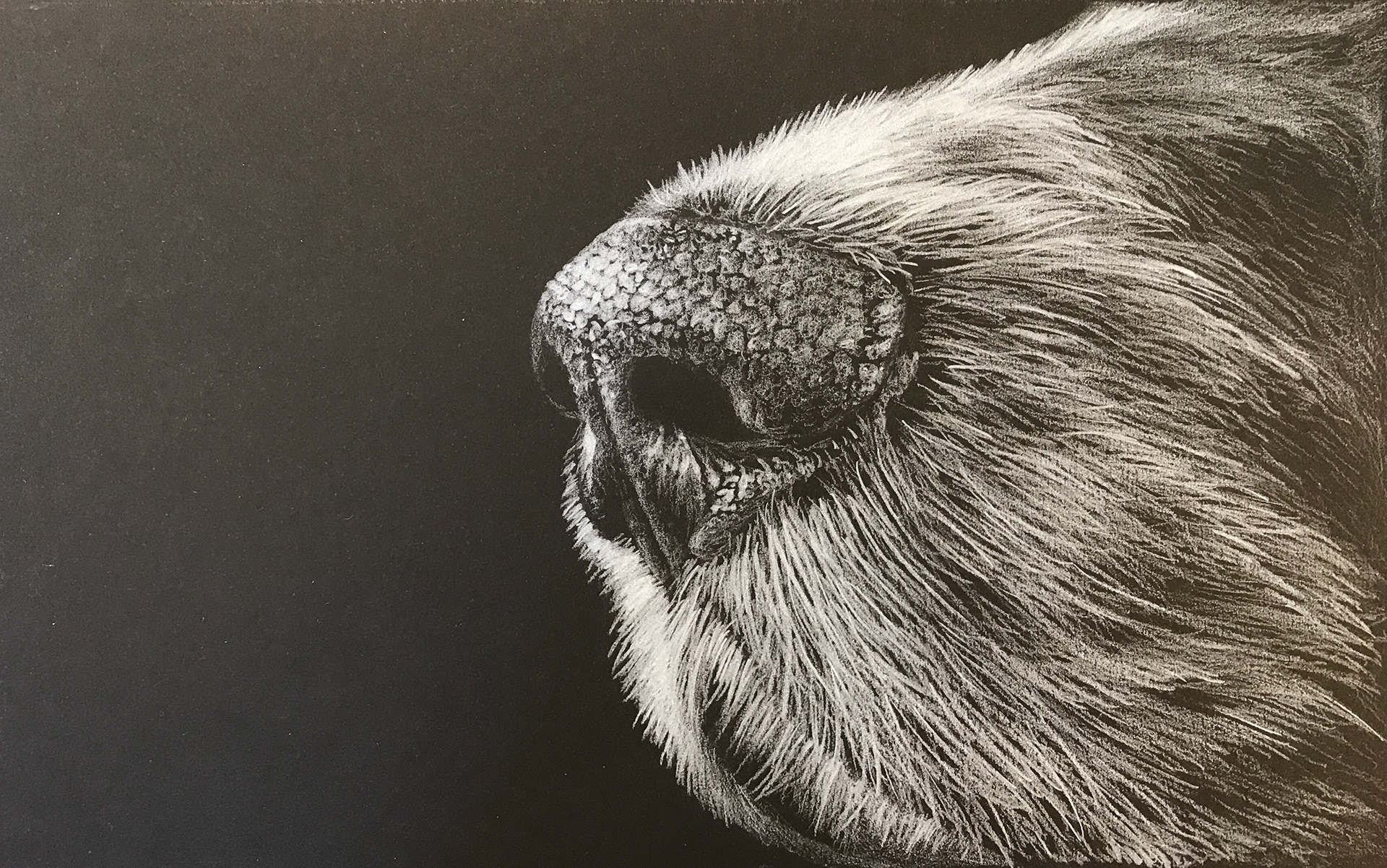 white pencil on black paper