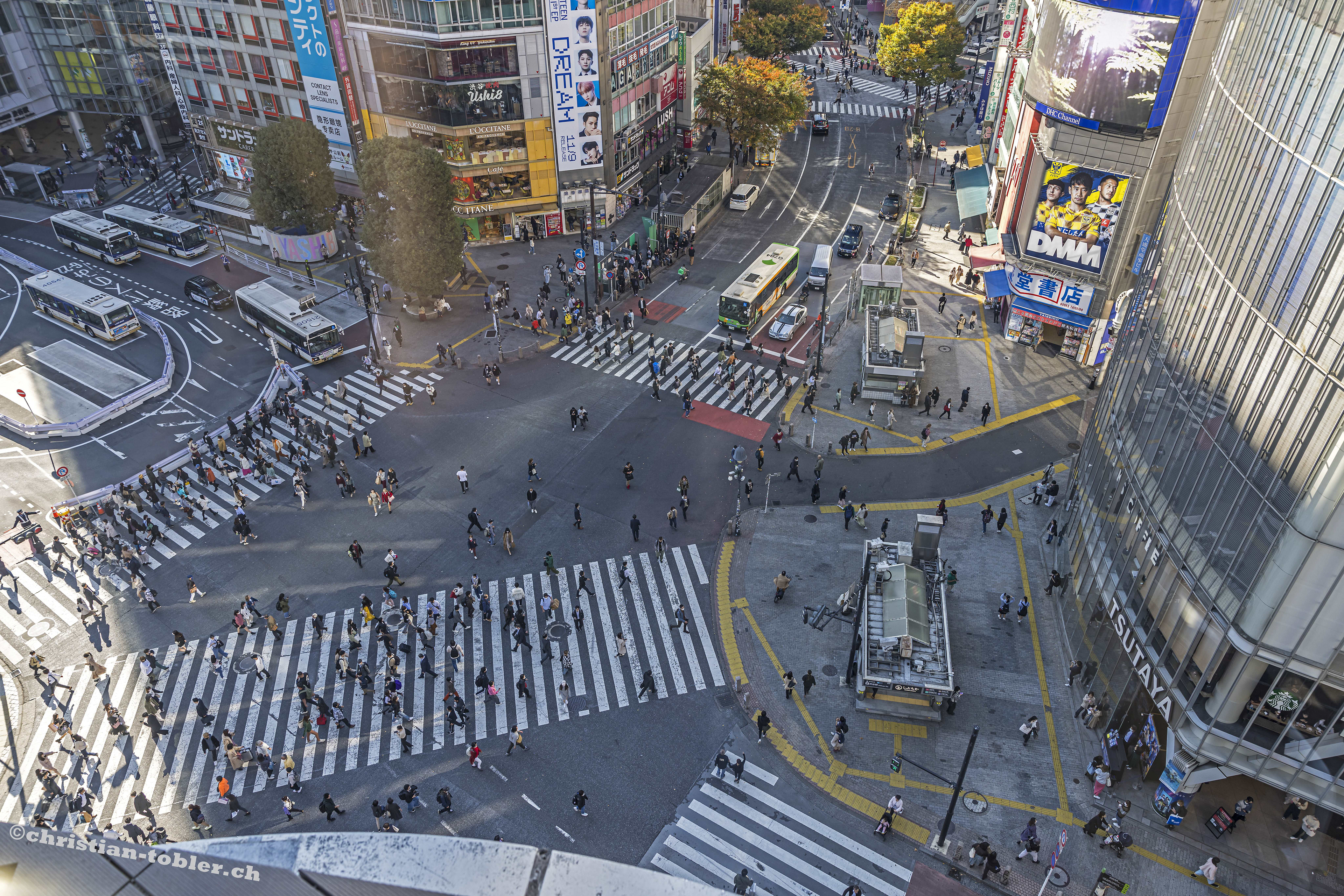 Shibuya Kreuzung