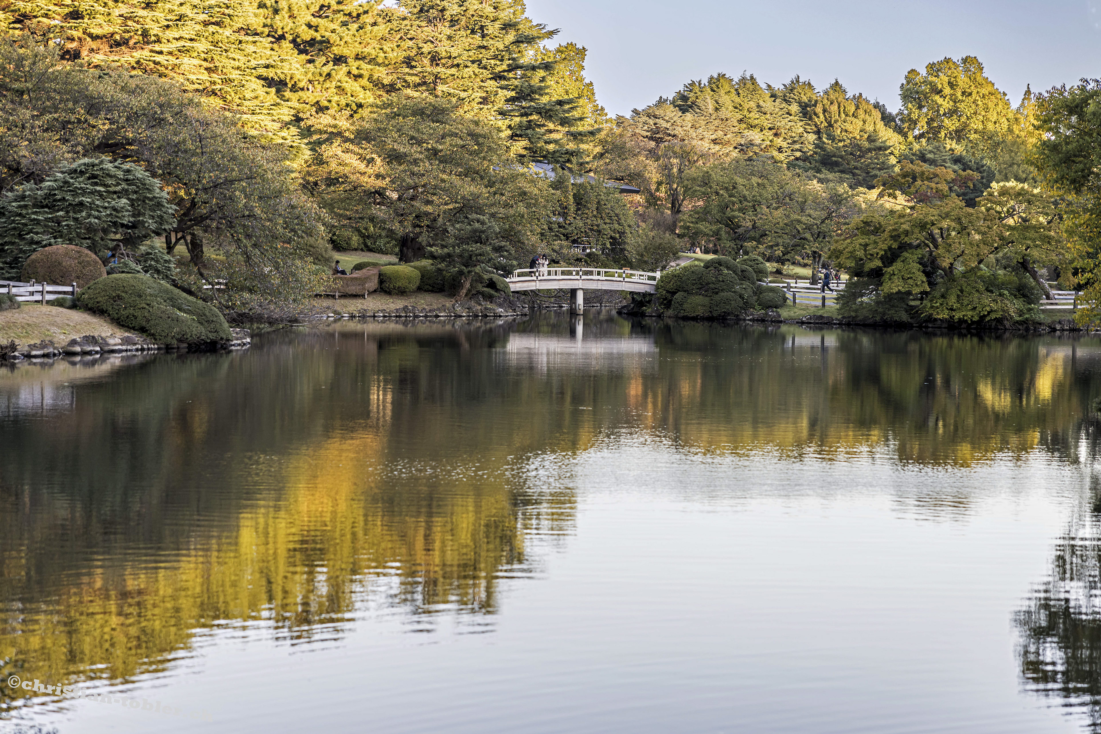 Shinjuku Gyoen Park
