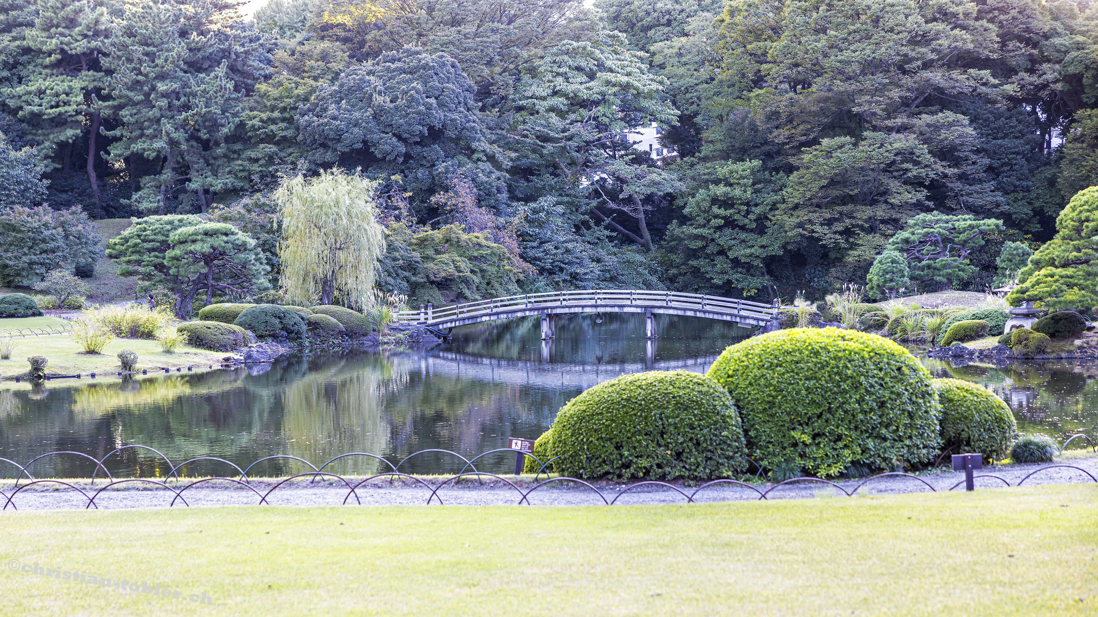 Shinjuku Gyoen Park