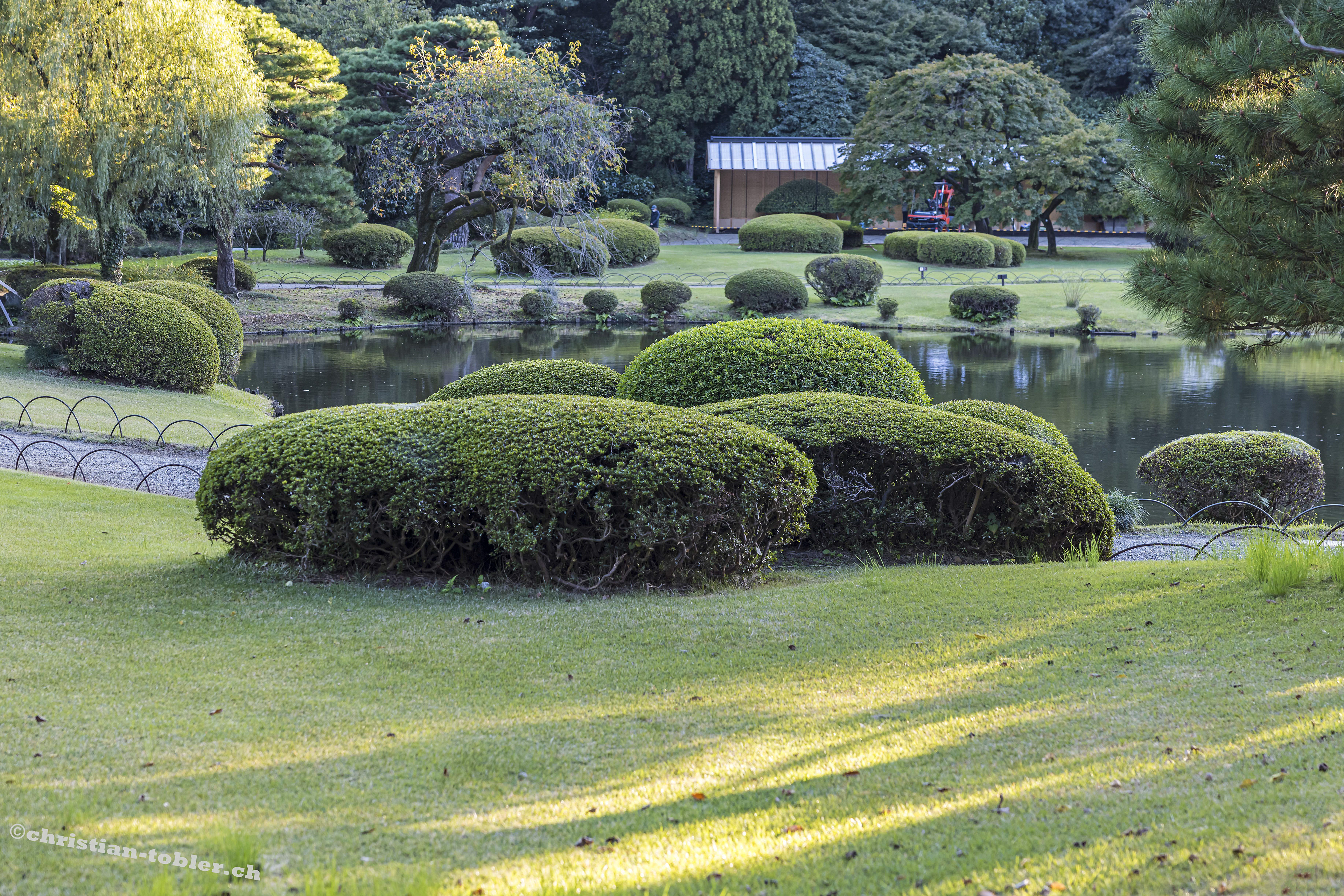 Shinjuku Gyoen Park