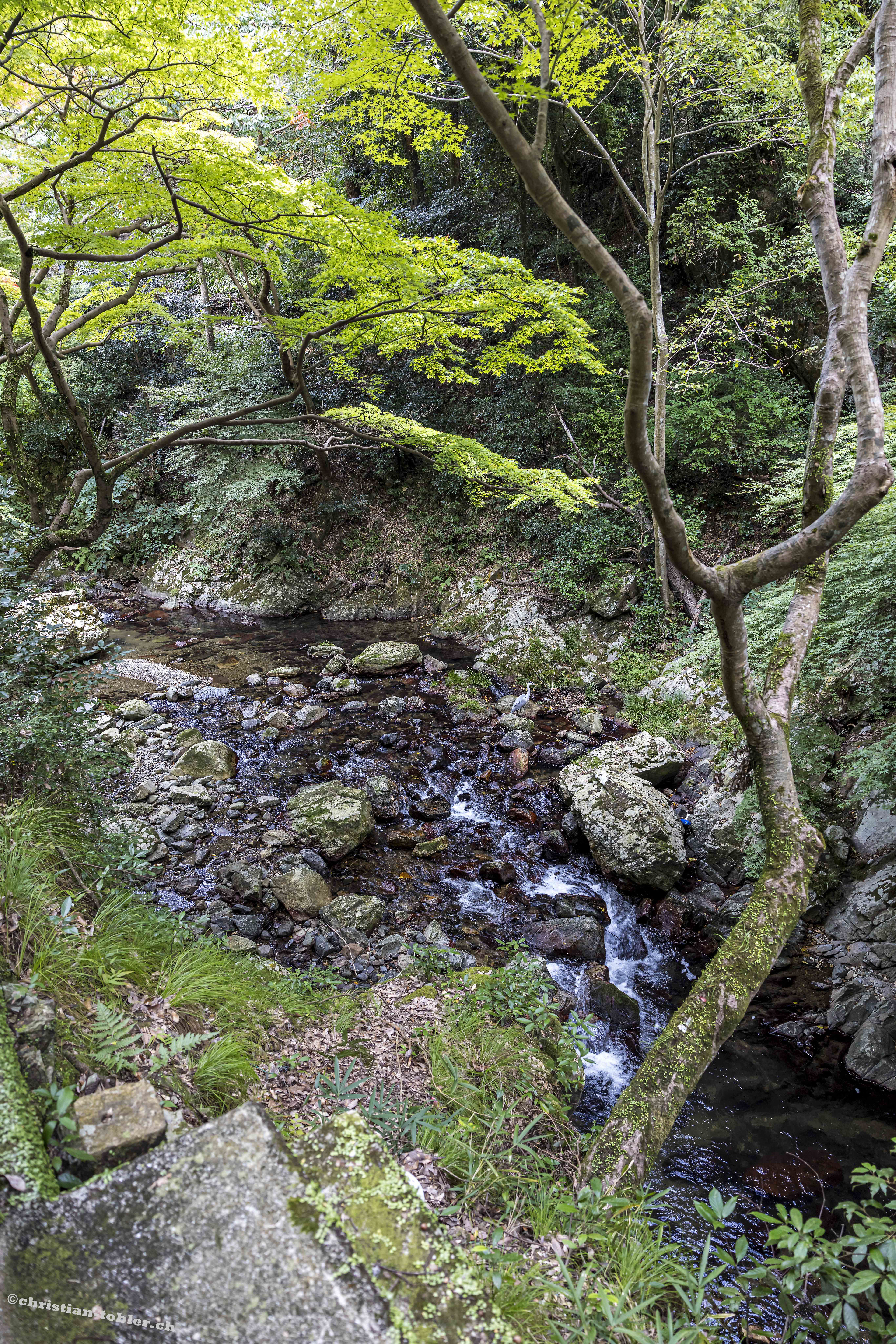 Minoo Park