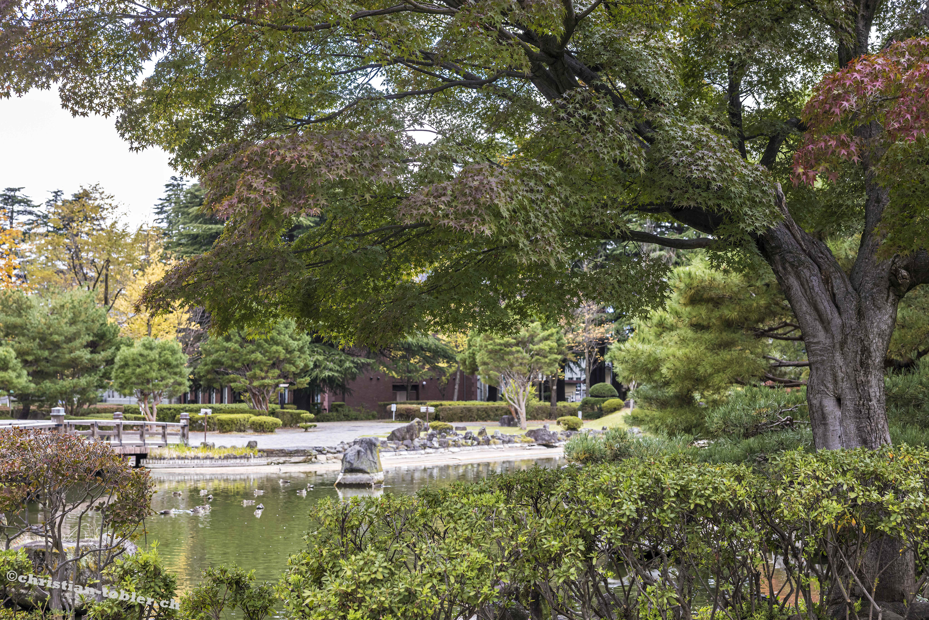 Agata no Mori Park