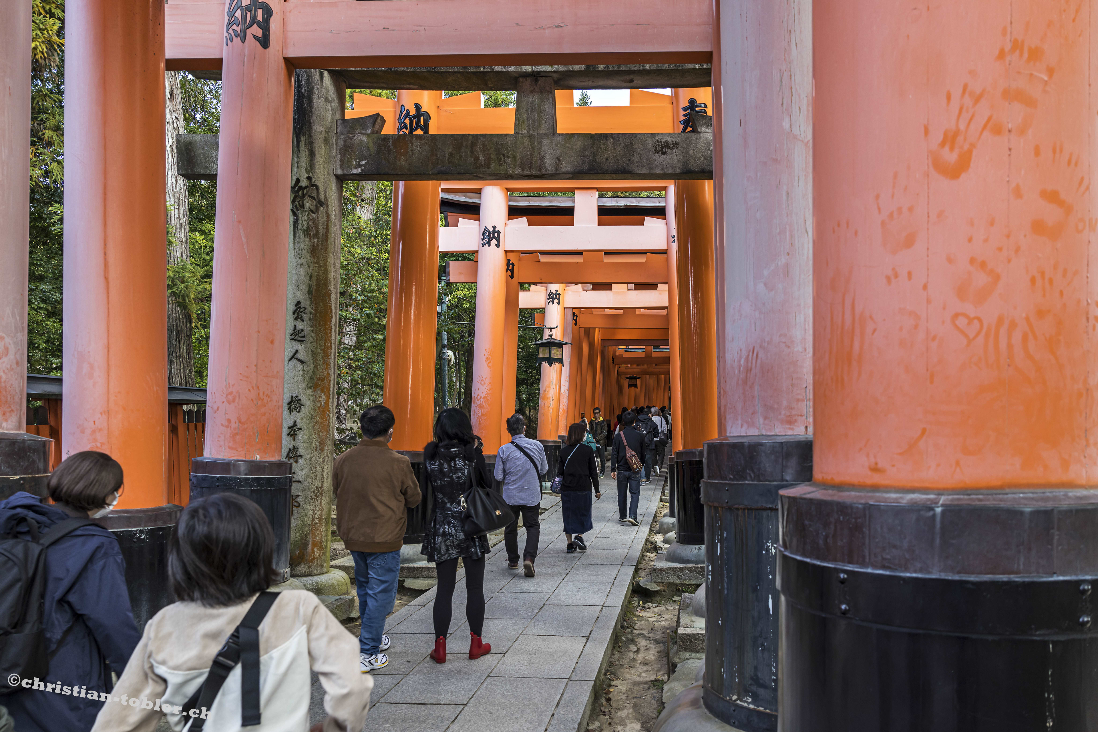 Fushimi-Inari Taisa