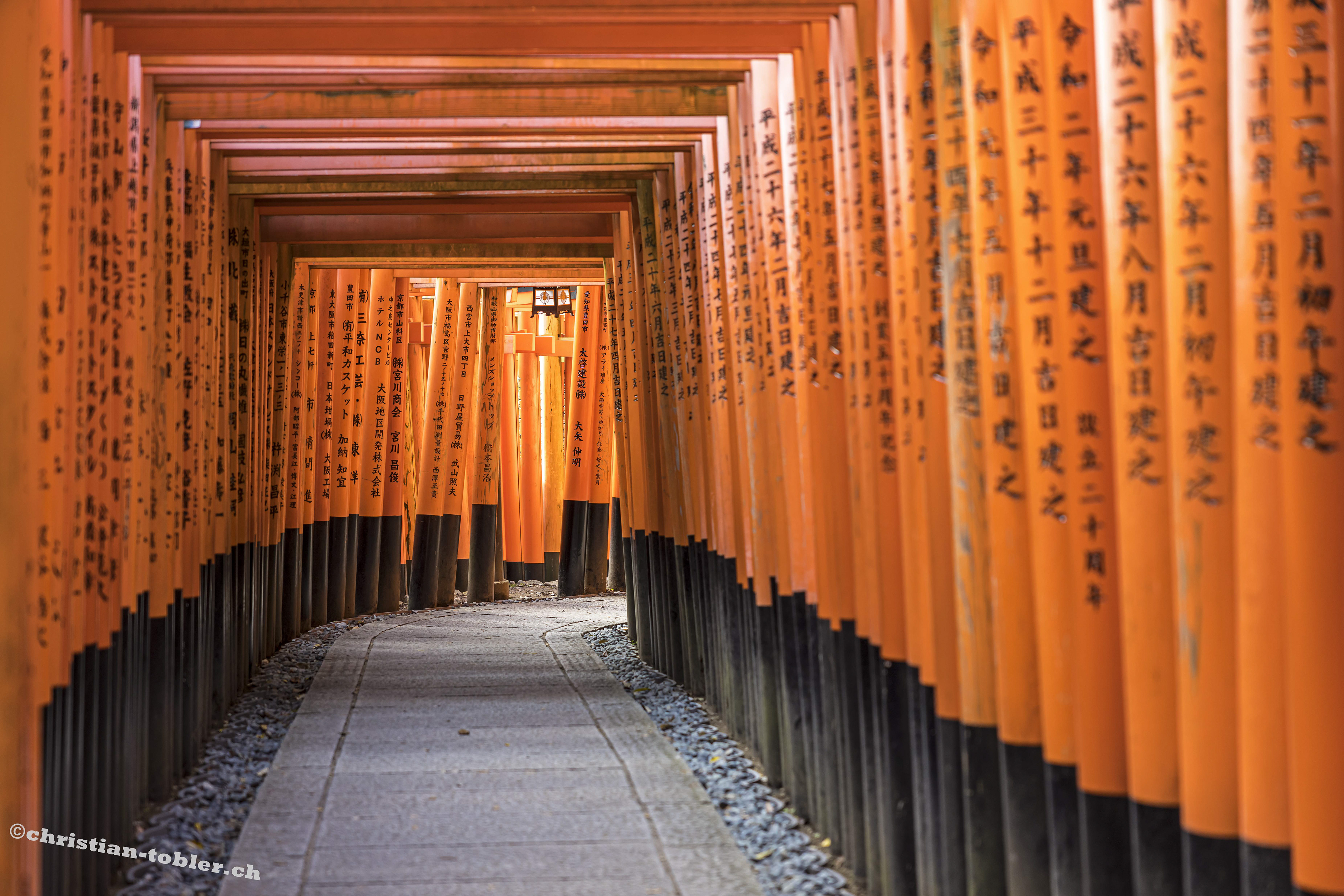 Fushimi-Inari Taisa