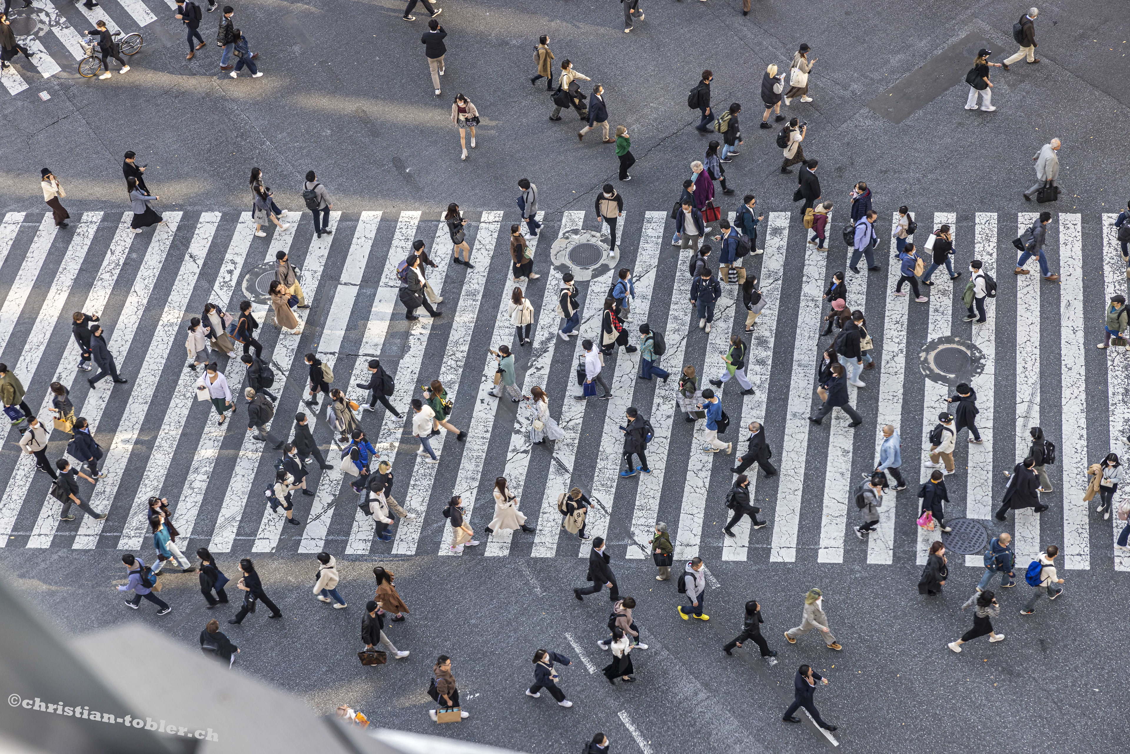 Shibuya Kreuzung