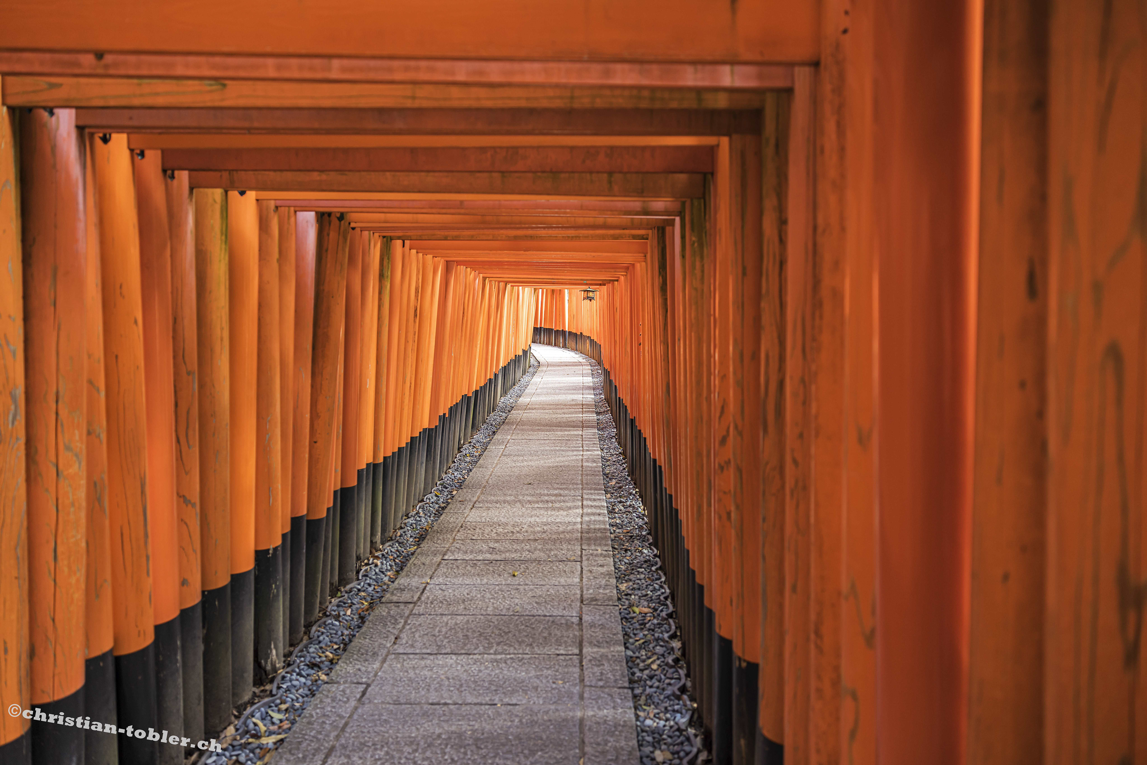 Fushimi-Inari Taisa