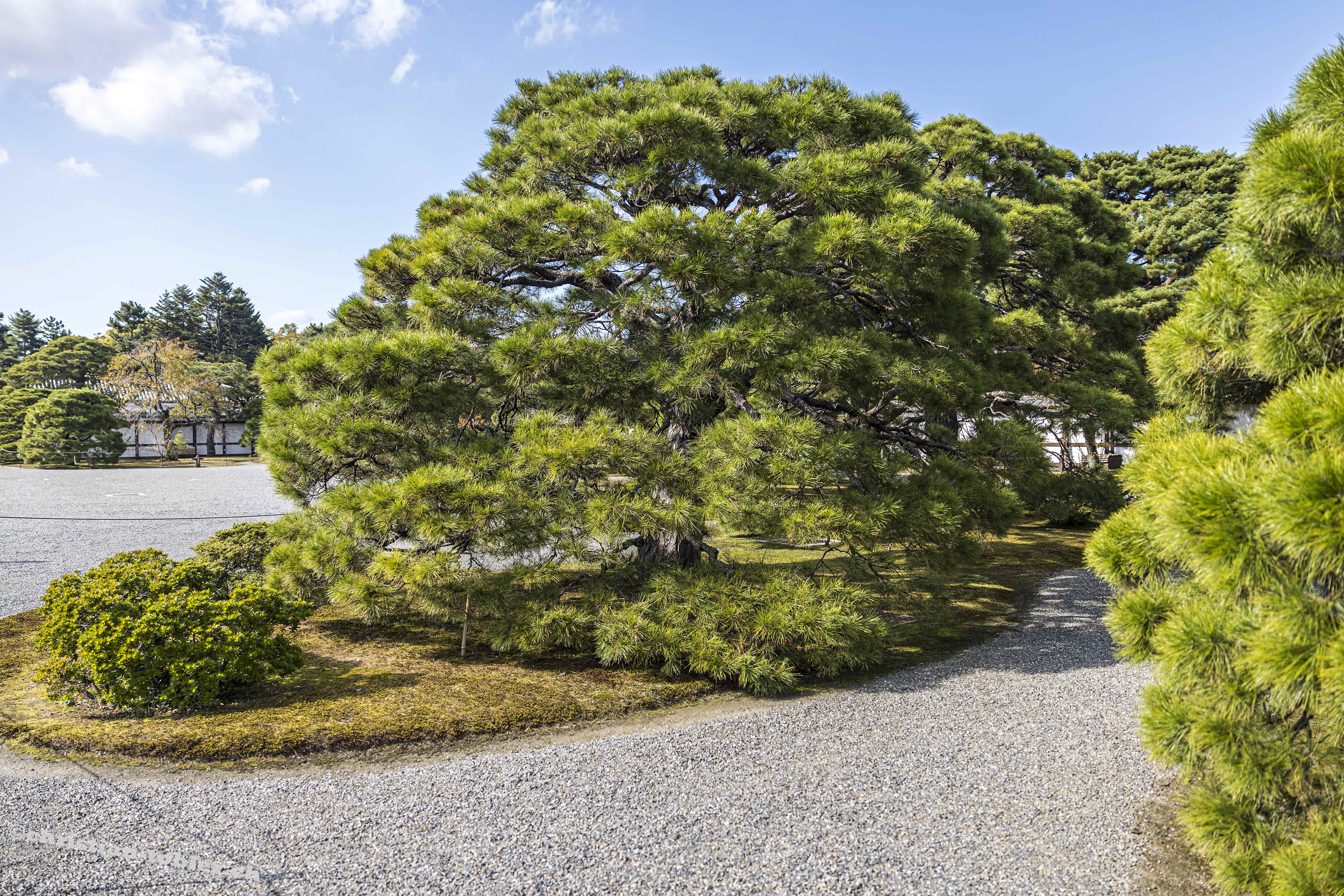 Gosho Park