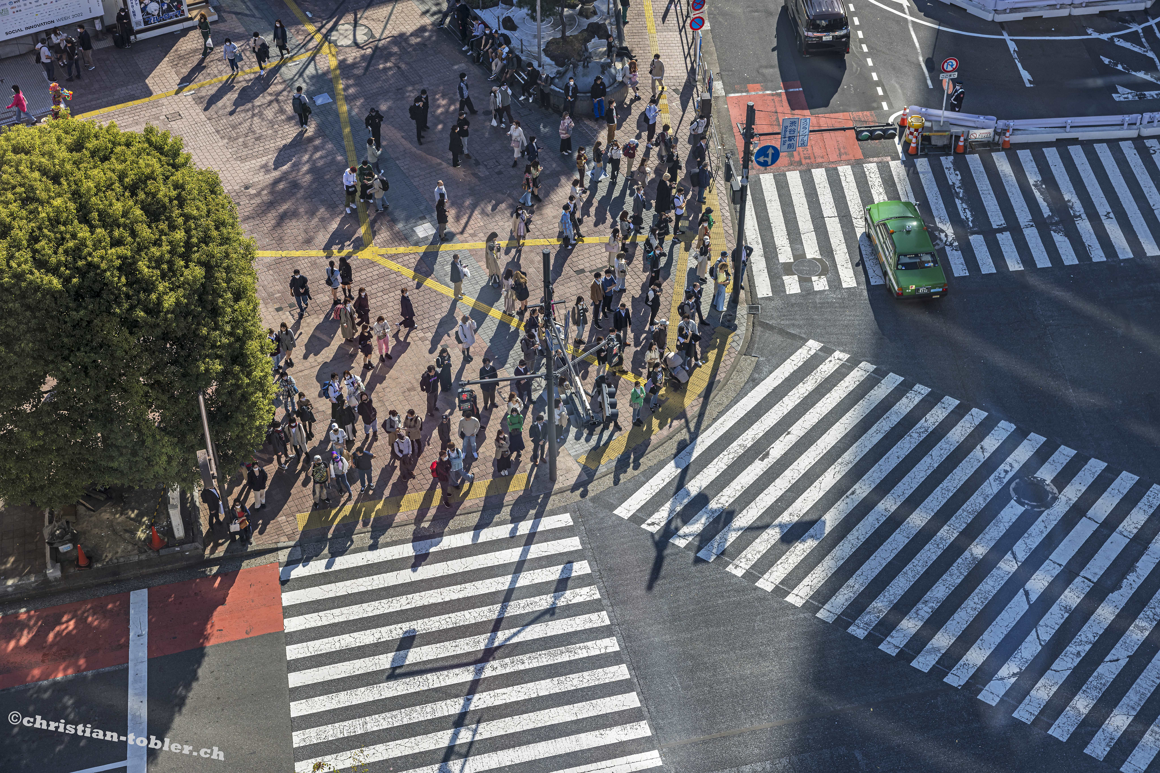 Shibuya Kreuzung