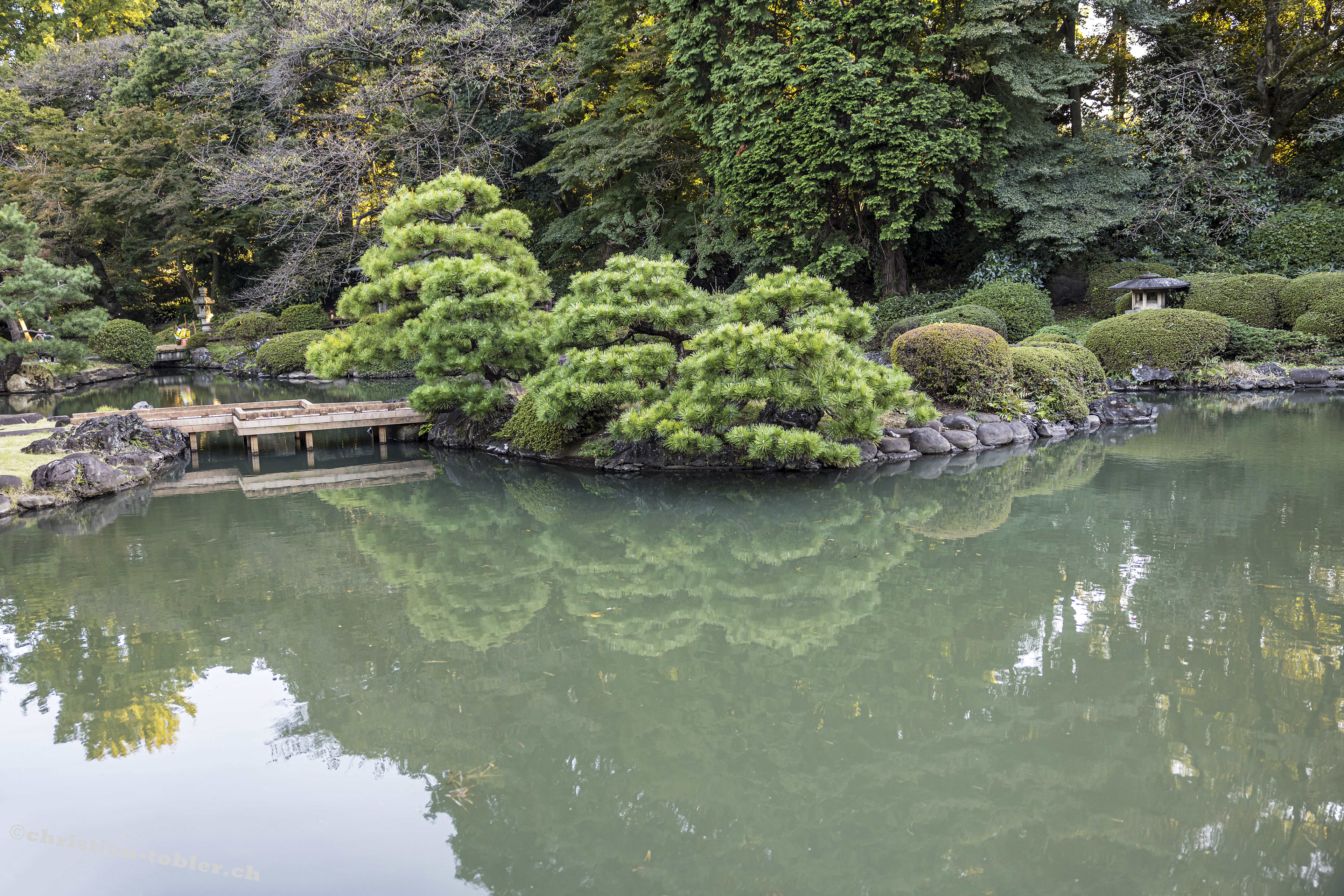 Shinjuku Gyoen Park