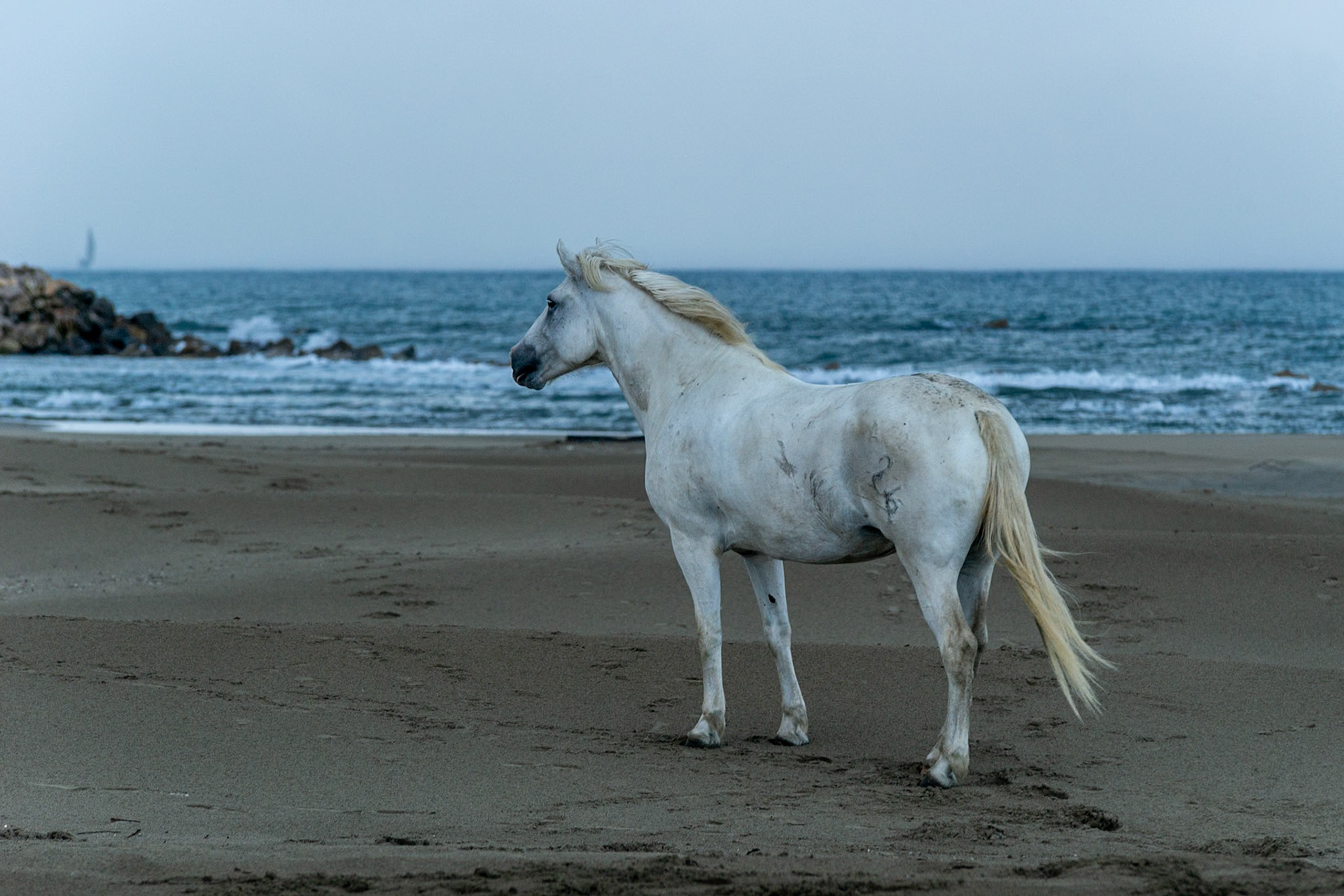 Week-end Camargue