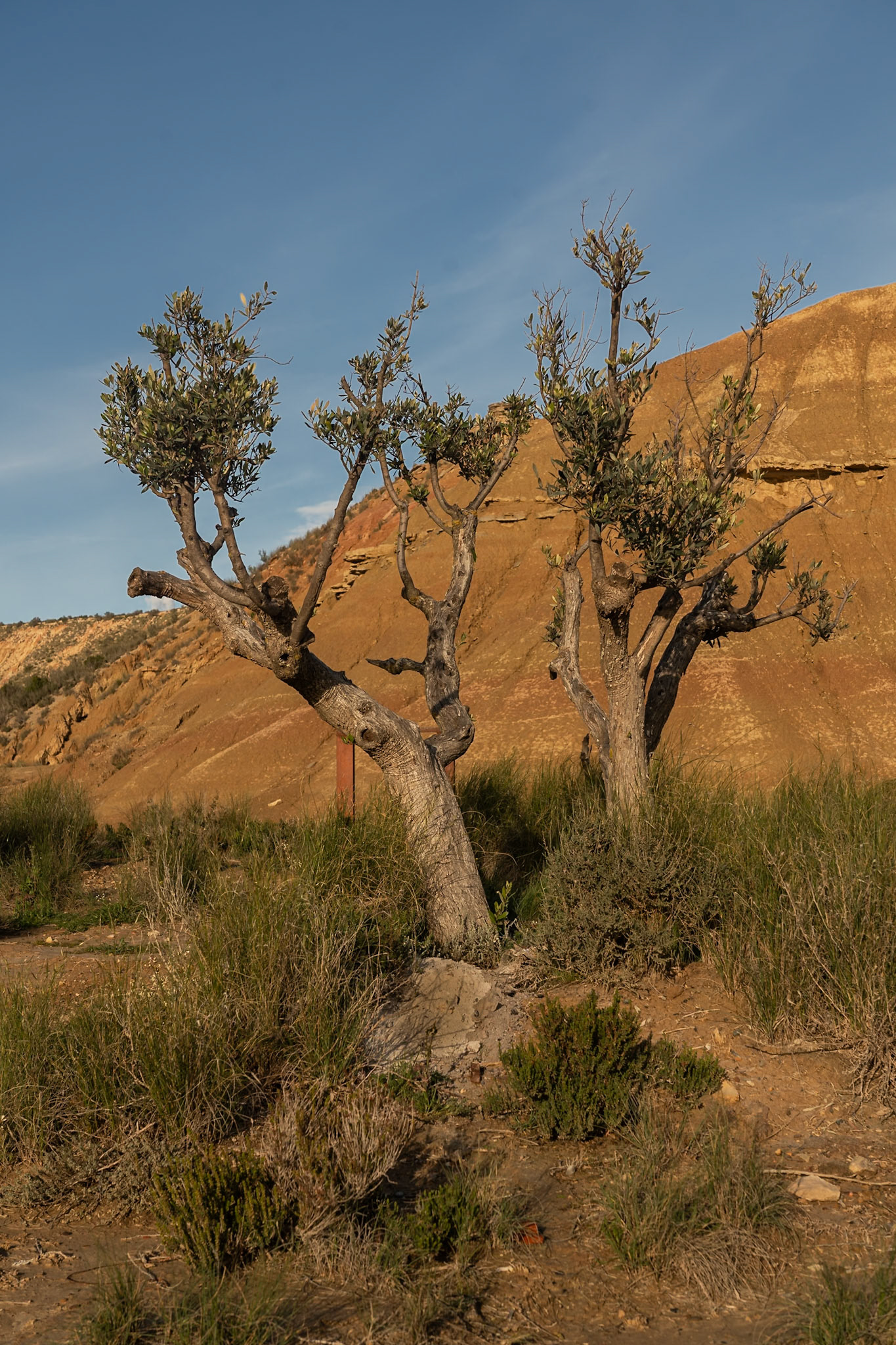 Road Trip désert des Bardenas (Espagne)