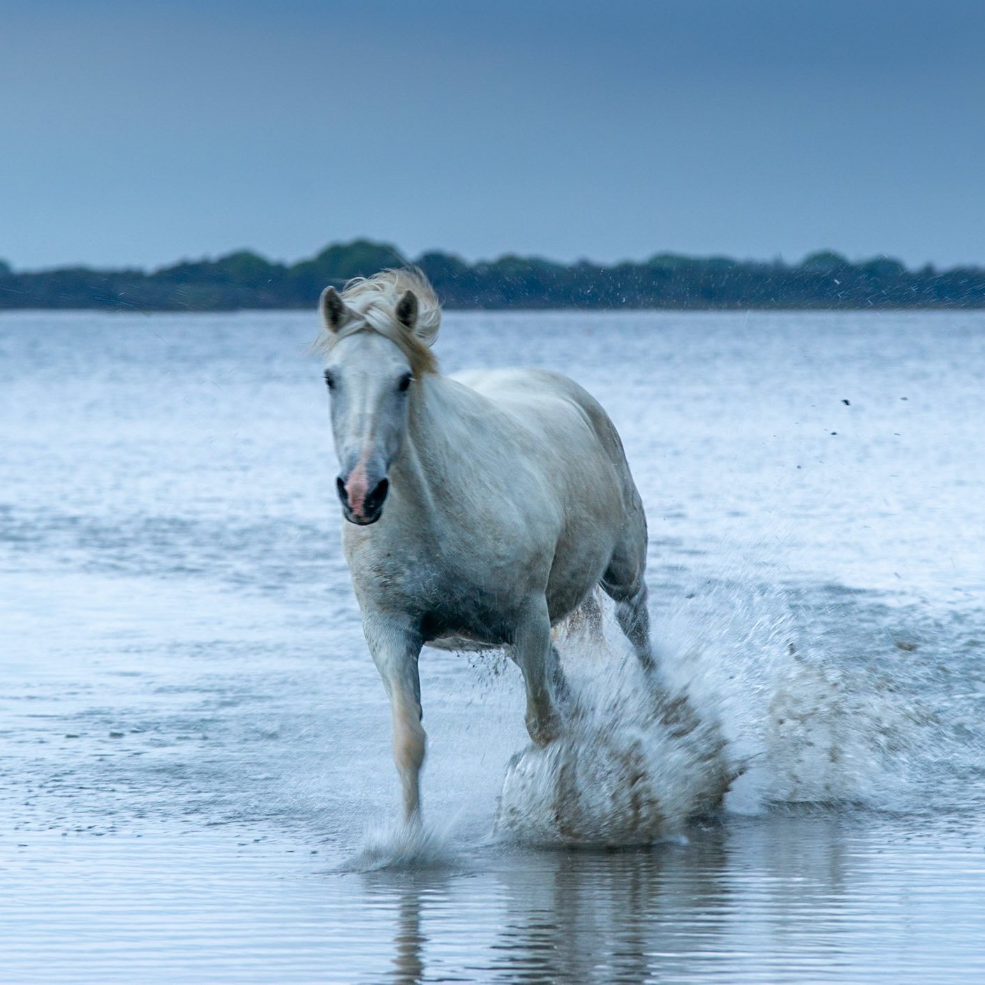 Week-end Camargue